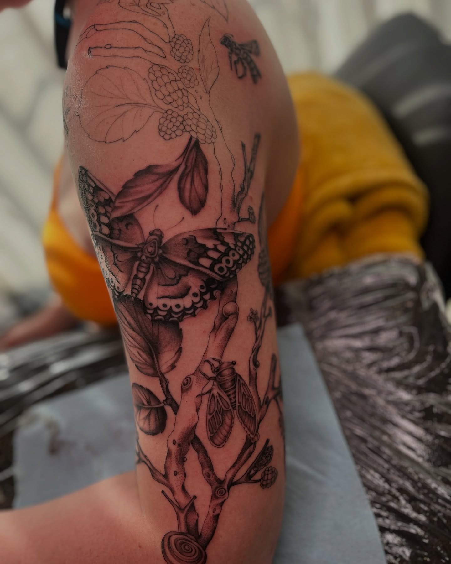Butterfly and branch realism tattoo on the forearm by Kyla Jae