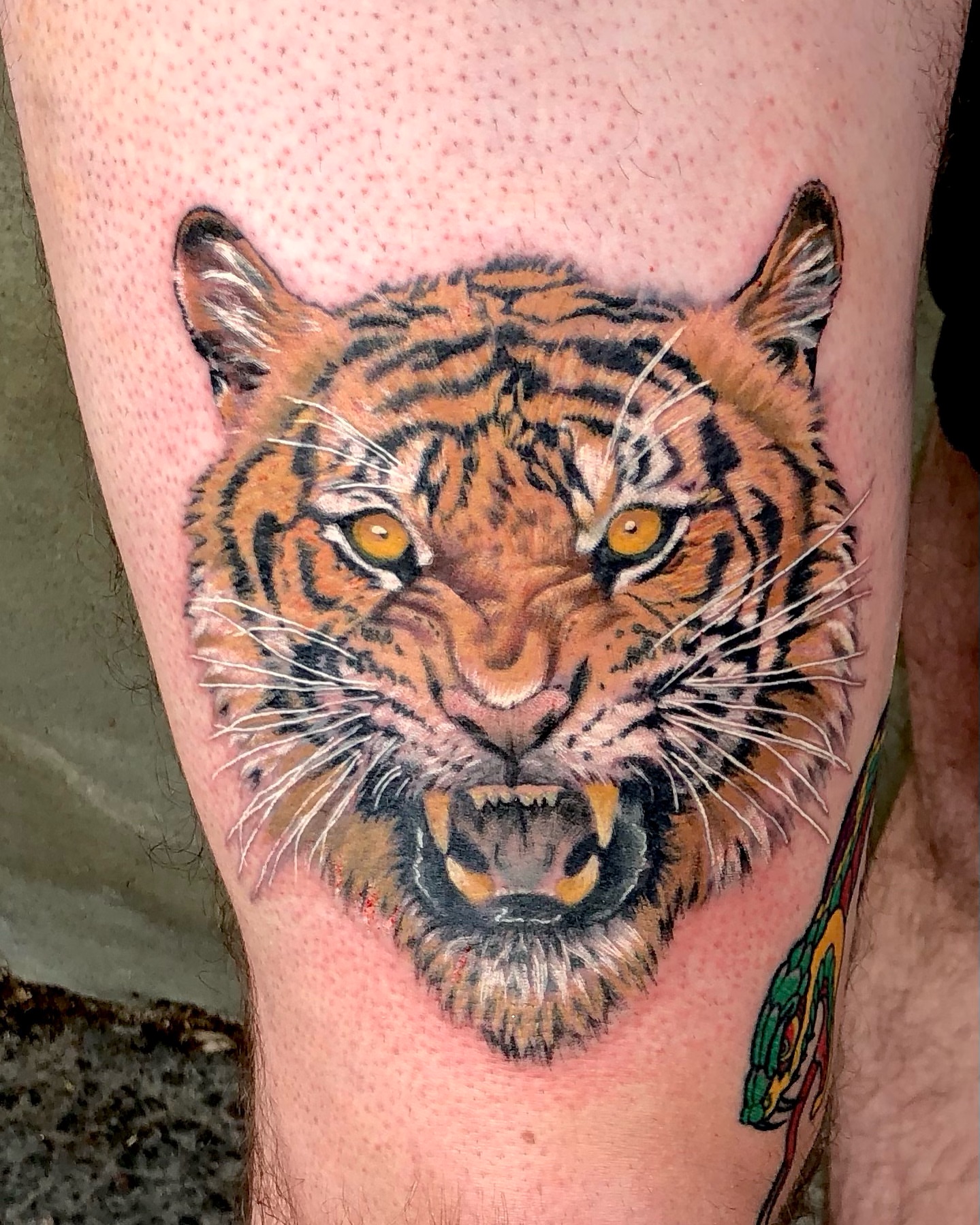 Tattoo by @aidabtattoo — realism