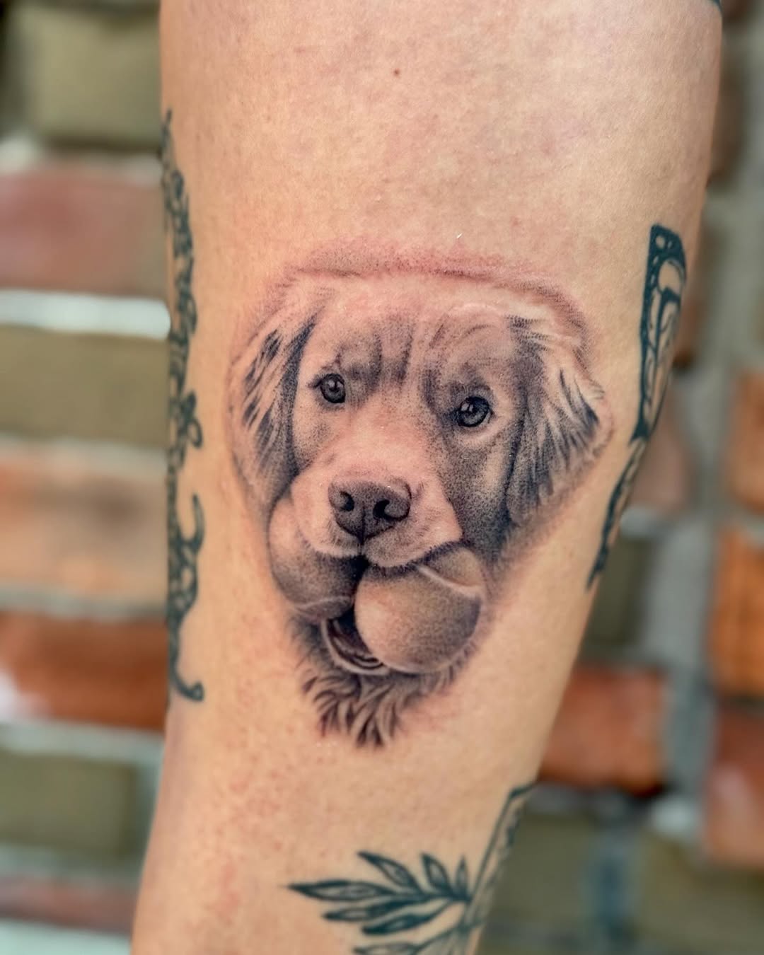 Dog with tennis balls realism tattoo on the forearm by Hali Larkin