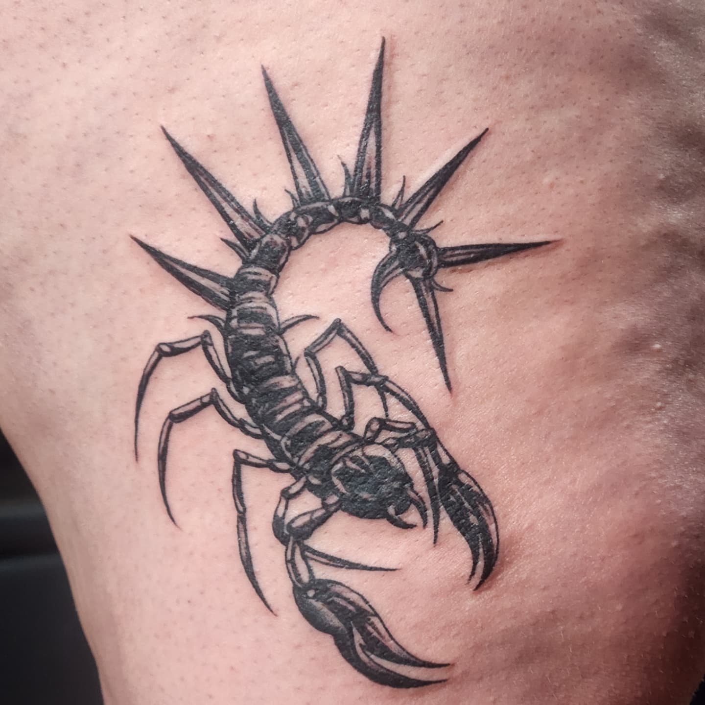 Scorpion black and grey tattoo on the thigh by Audrey Luther