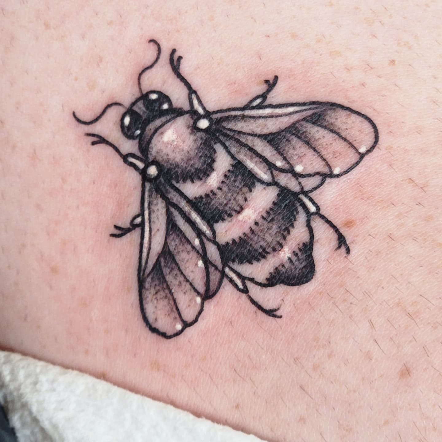 Bee black and grey tattoo on the forearm by Audrey Luther