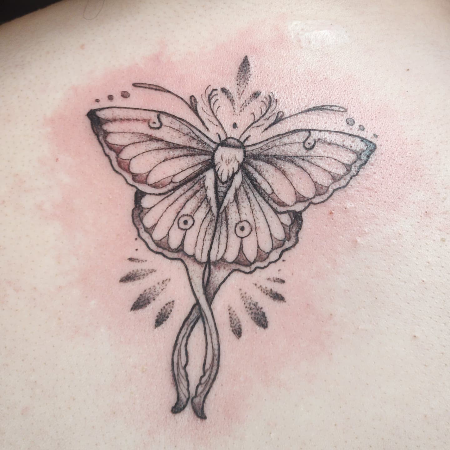 Tattoo by Audrey Luther, Columbus, OH