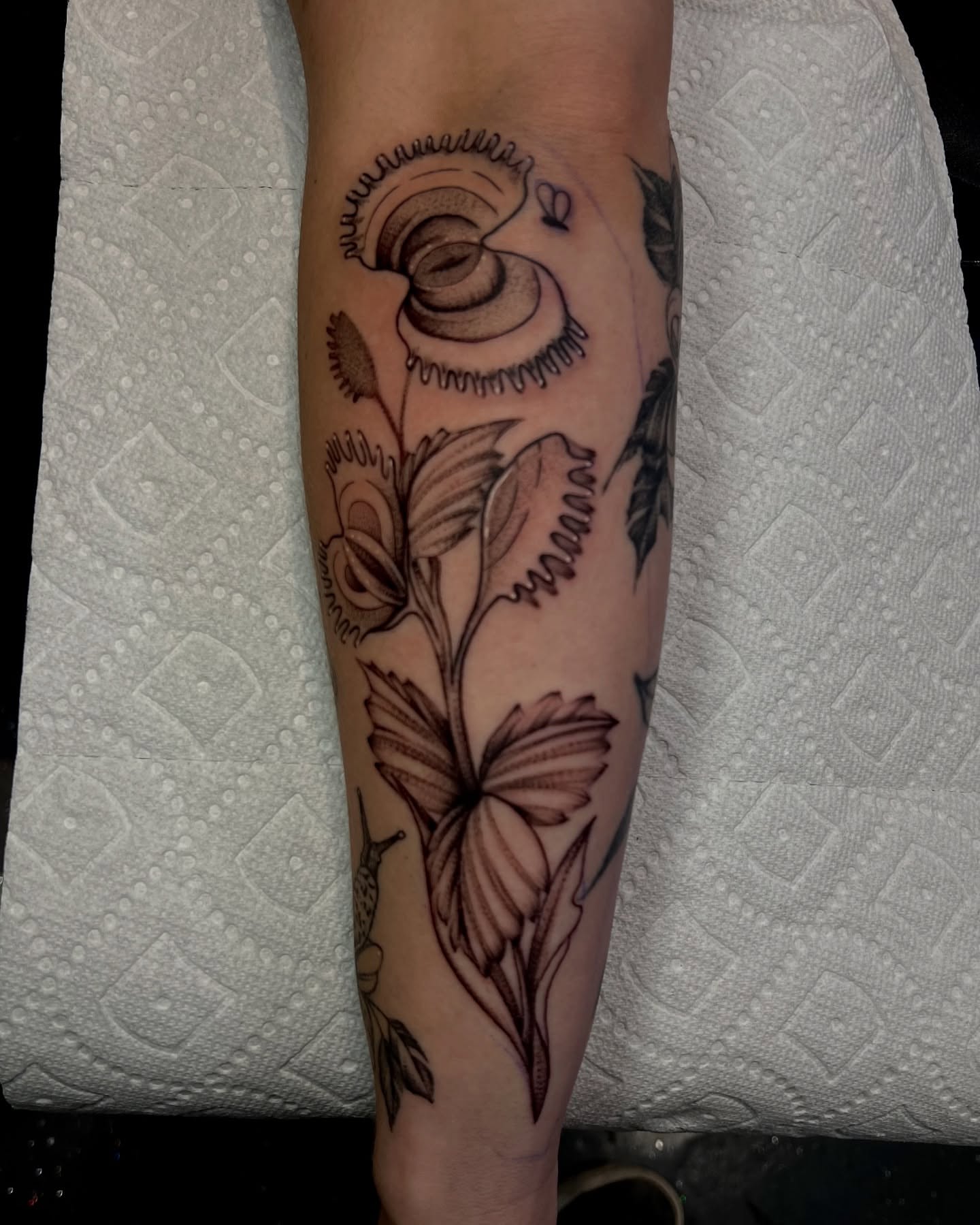 Flower and snail black and grey tattoo on the forearm by Jacob Sass