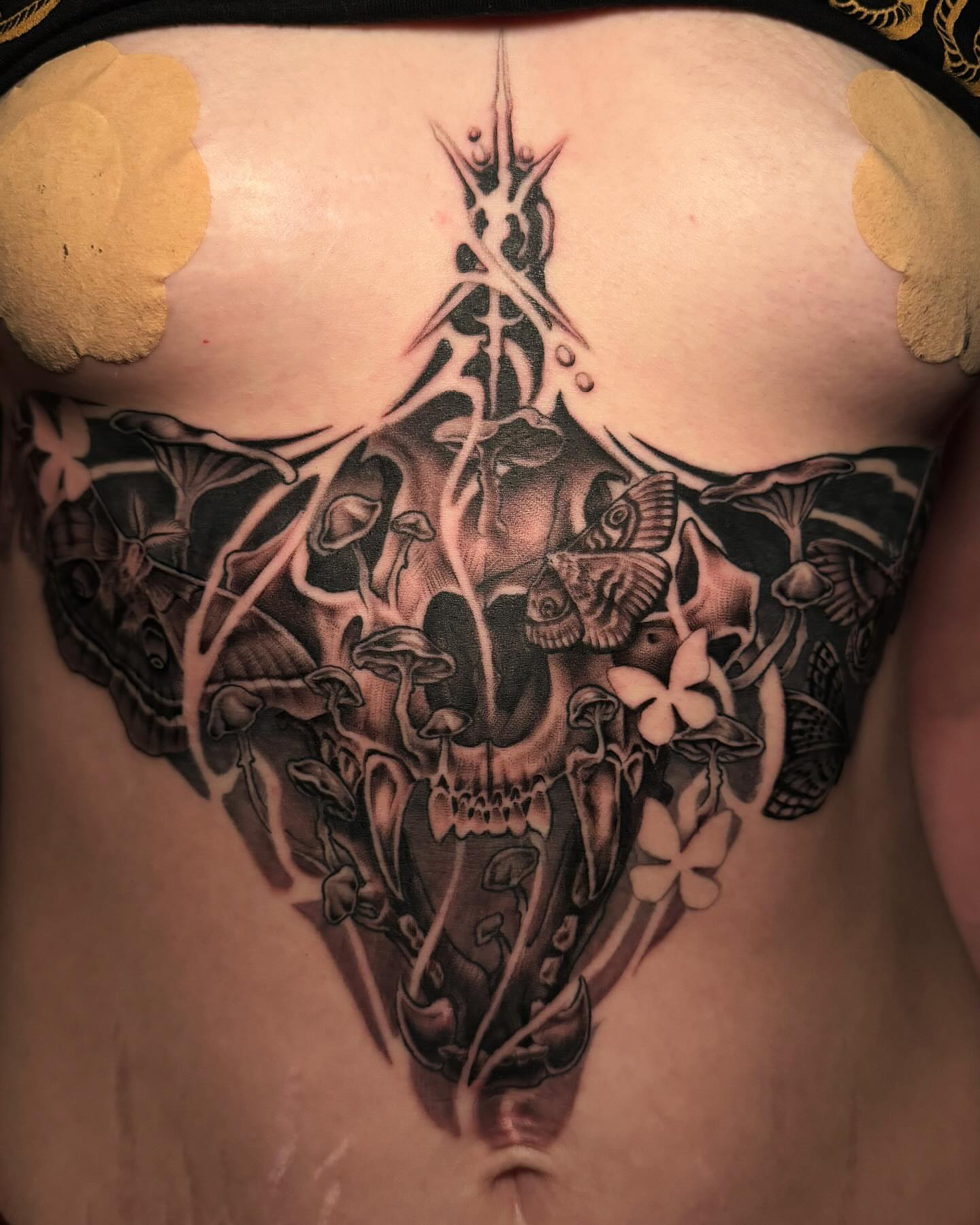Skull and moth realism tattoo on the chest by Tad Fulkerson, San Francisco, California