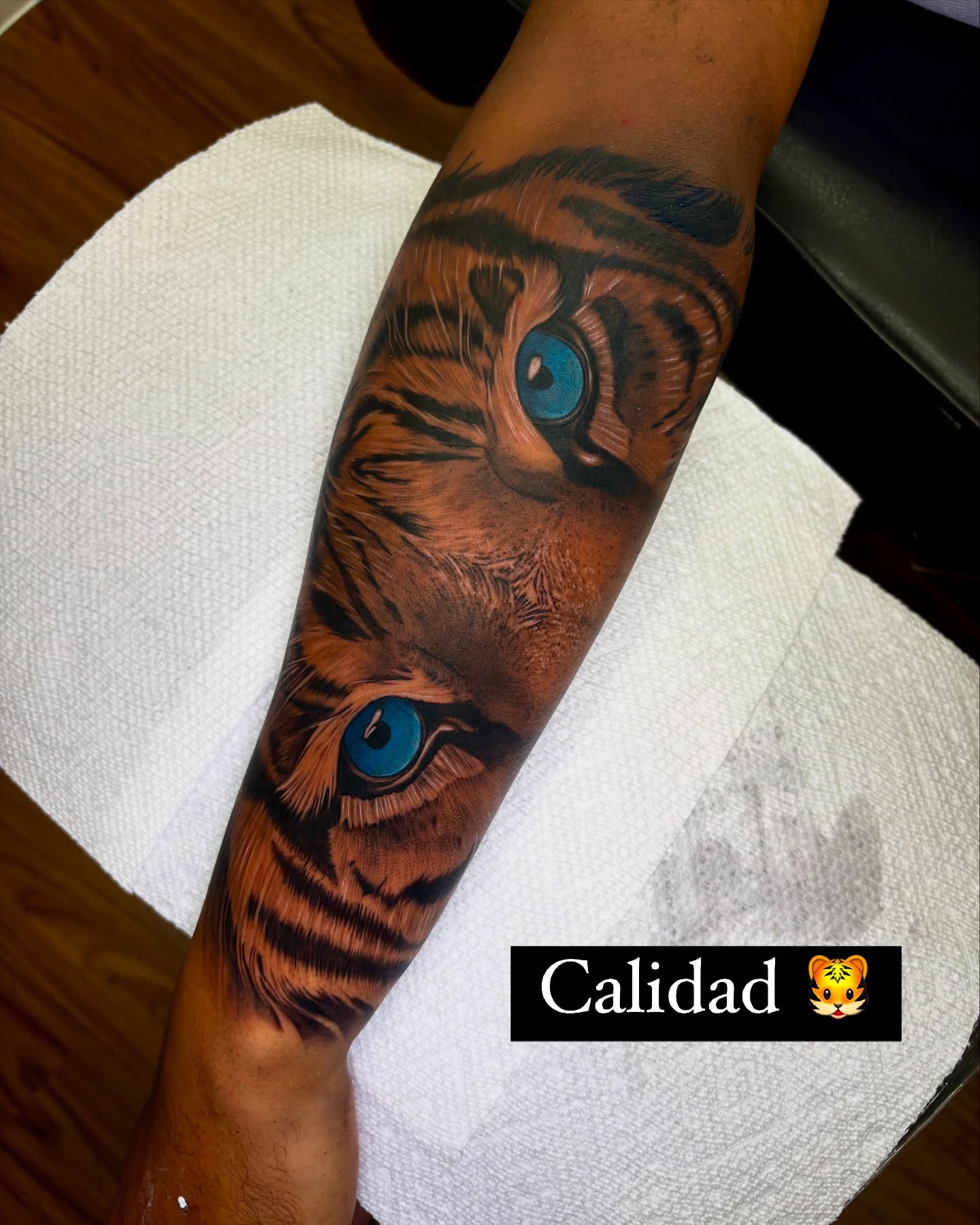 Tiger eyes realism tattoo on the forearm by Kevin Palma