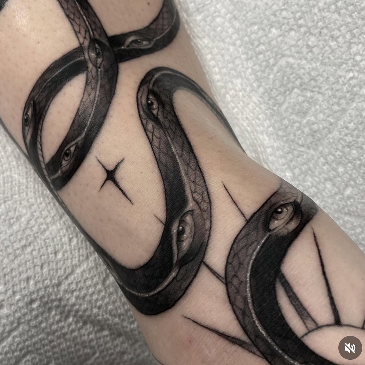 Snakes black and grey tattoo on the forearm by Marissa Tattoos