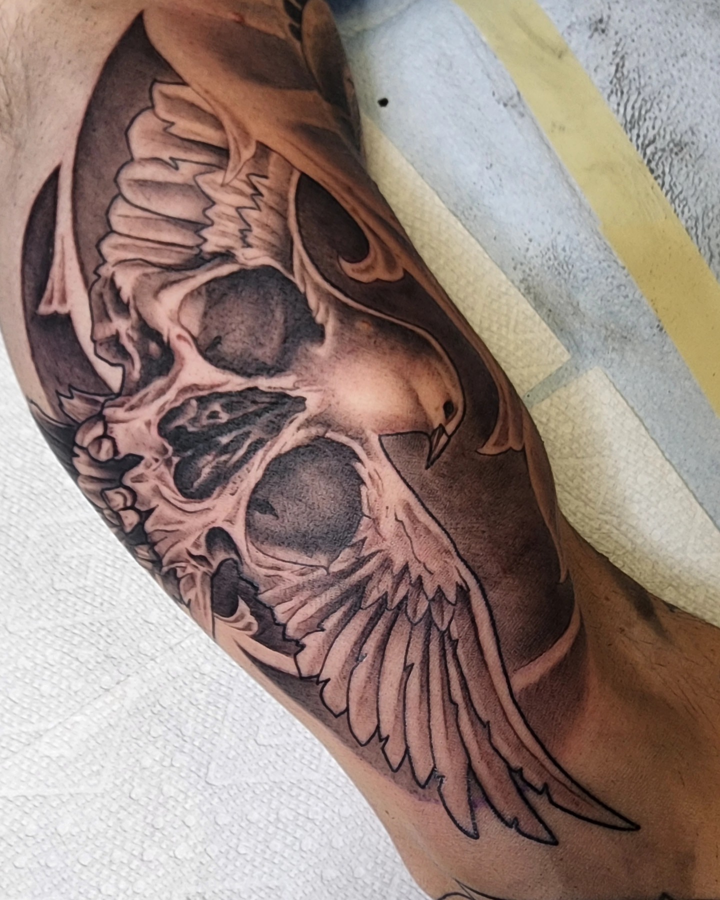 Skull with bird realism tattoo on the forearm by Anthony Moncada