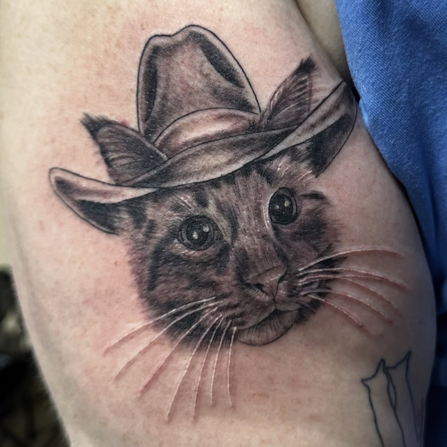 Cat wearing cowboy hat realism tattoo on the forearm by Emily K Lingg