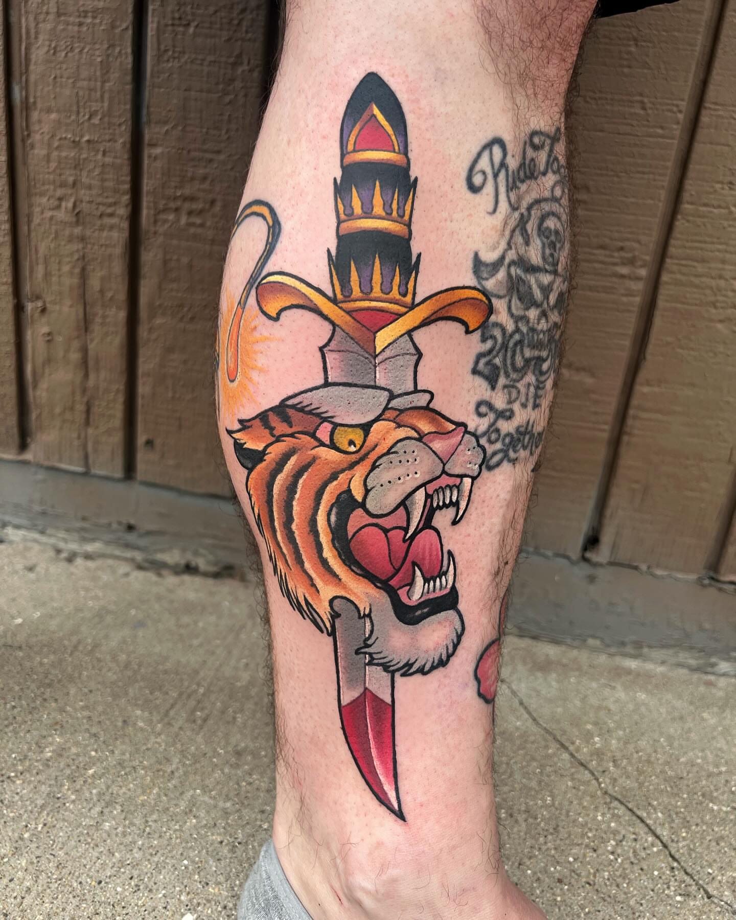 Tiger head with dagger American traditional tattoo on the calf by Kevin Starai