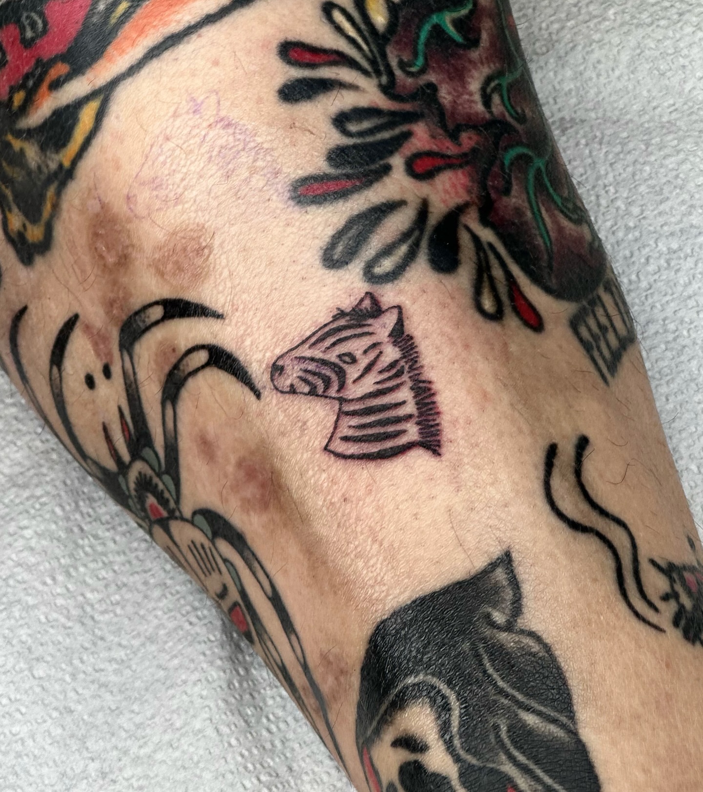 Zebra head American traditional tattoo on the forearm by Maks
