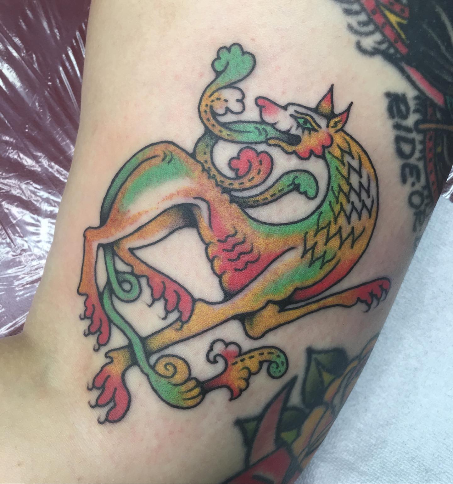 Dragon American traditional tattoo on the forearm by Abbey Martin, Nashville, Tennessee