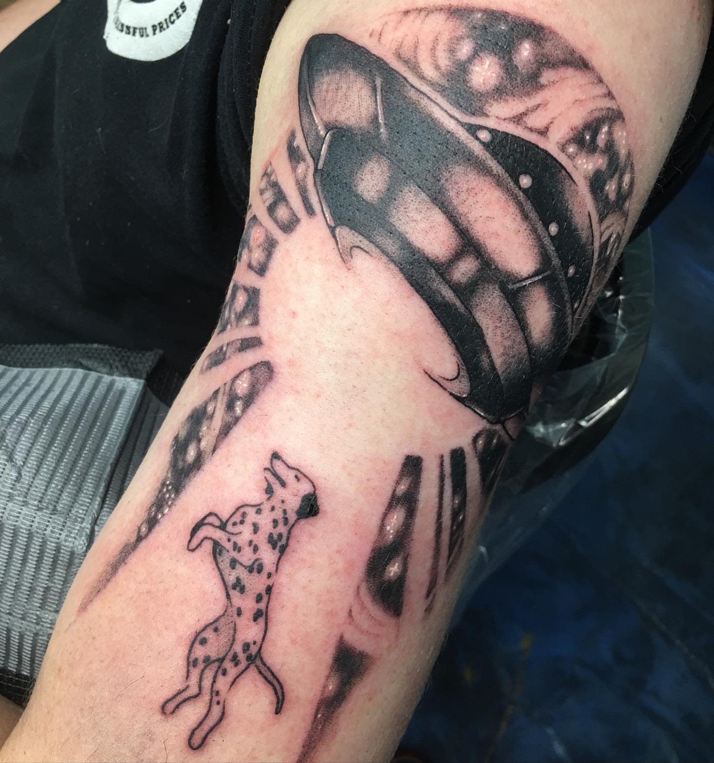 Dalmatian dog black and grey tattoo on the forearm by Abbey Martin, Nashville, Tennessee