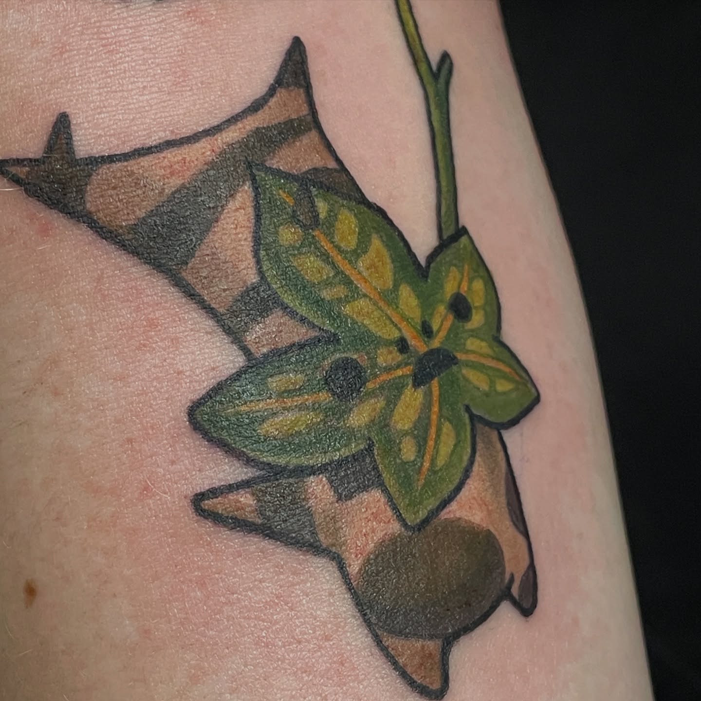 Tattoo by @hhaylayy — american_traditional