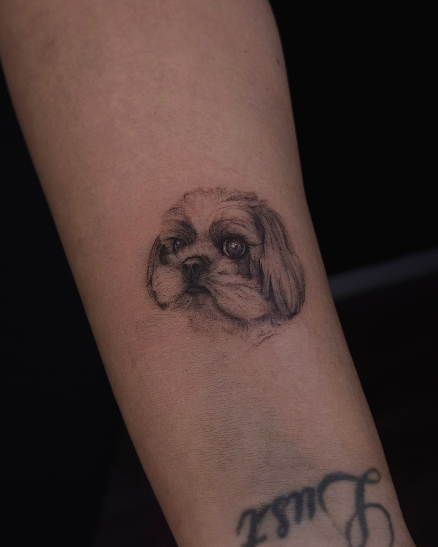 Tattoo by @yourdarkstory — realism