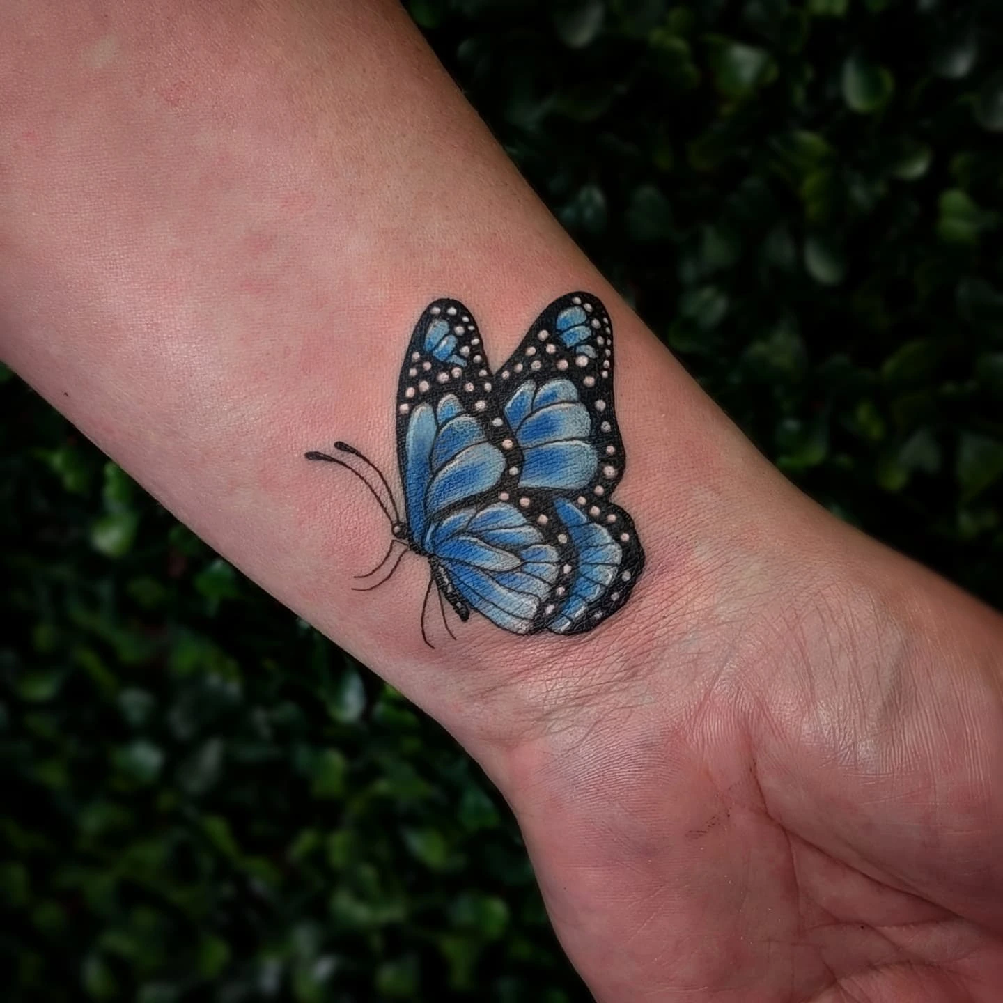 Blue butterfly realism tattoo on the forearm by Marlayna Connelly