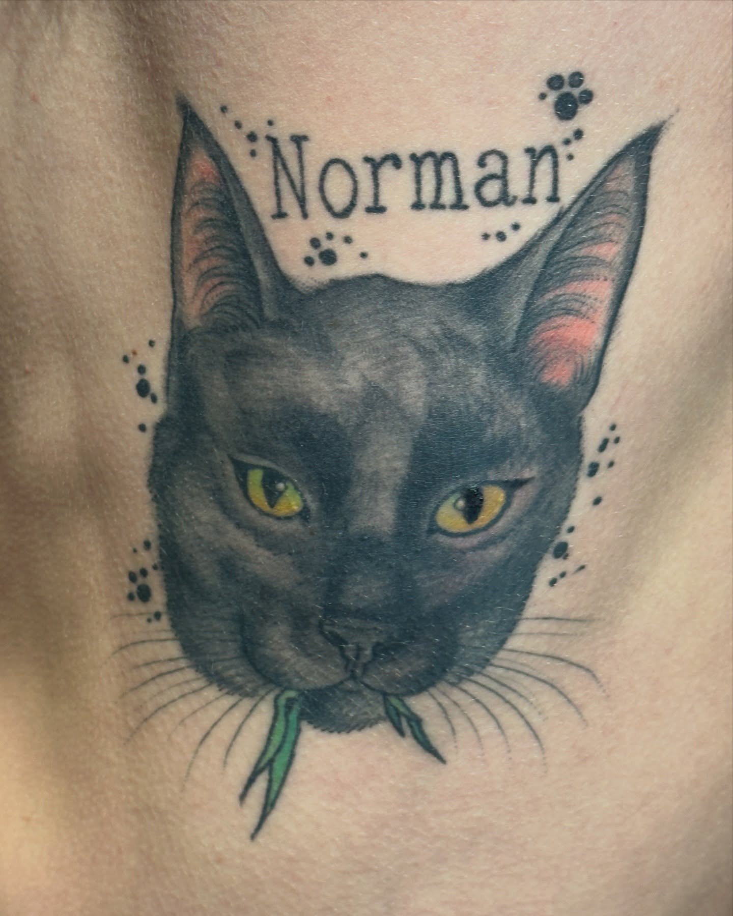 Tattoo by @jentle.tattoos โ realism, dotwork