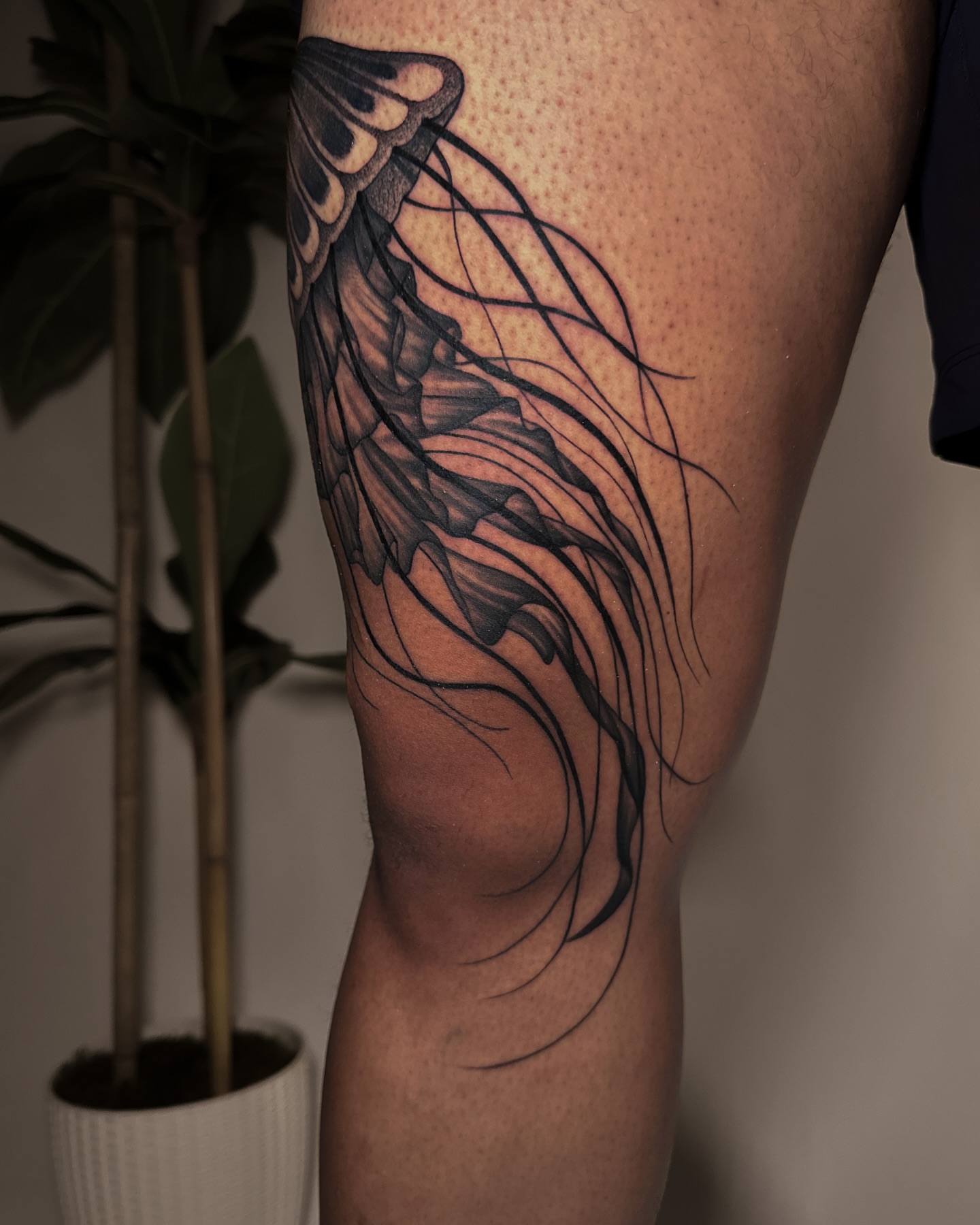 Jellyfish black and grey tattoo on the leg by James Hix - Tattoo Artist, Fort Worth, Texas