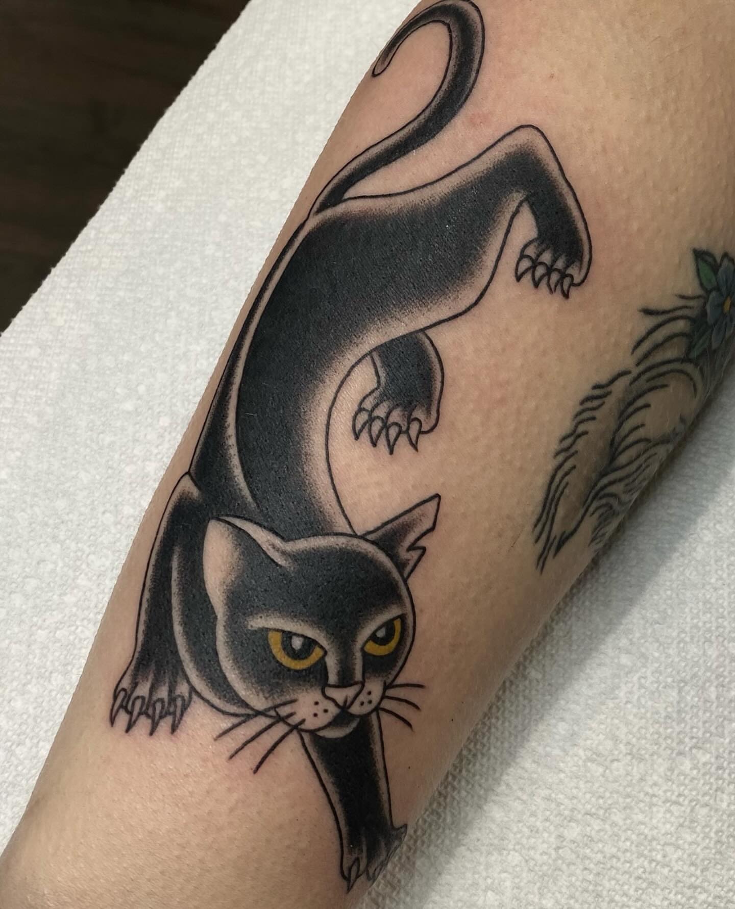 Cat black and grey tattoo on the forearm by Kiera ❤️‍🔥