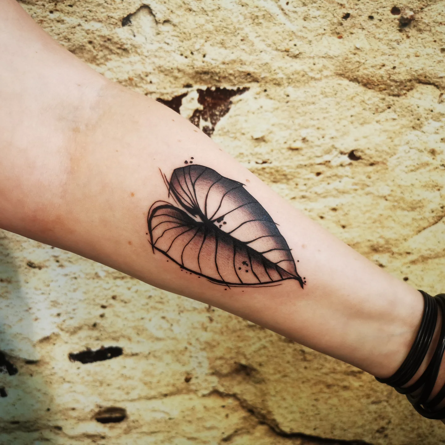 Nautilus shell black and grey tattoo on the forearm by Ink of Winchester