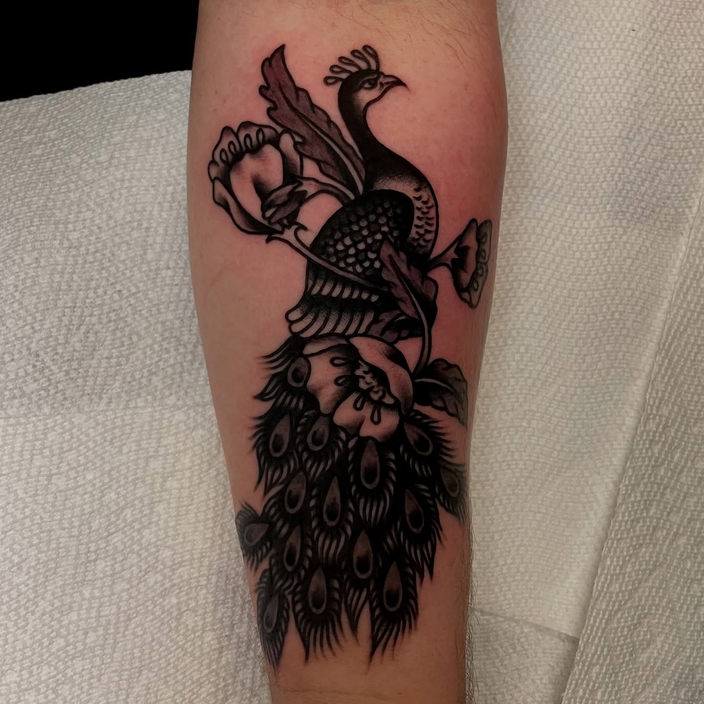 Peacock black and grey tattoo on the forearm by Texas Jonah