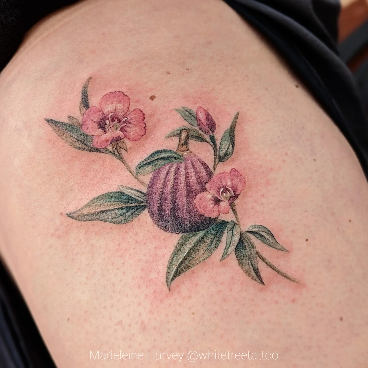 Fig and flowers realism tattoo on the shoulder by Maddie