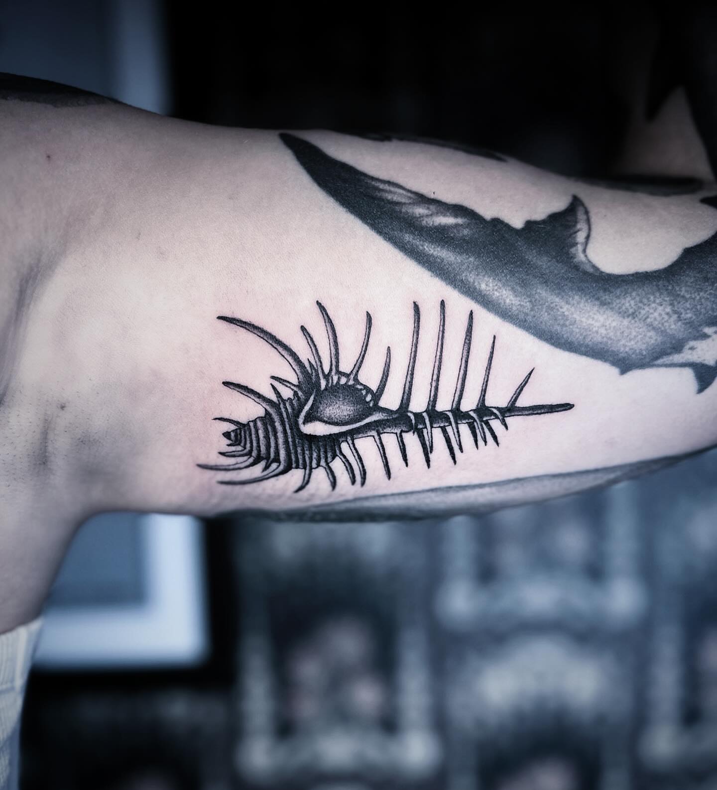 Spine black and grey tattoo on the forearm by 🕸 ᴠɪᴠɪᴀɴ ʟᴏʀᴇ 🕸, Nashville, Tennessee