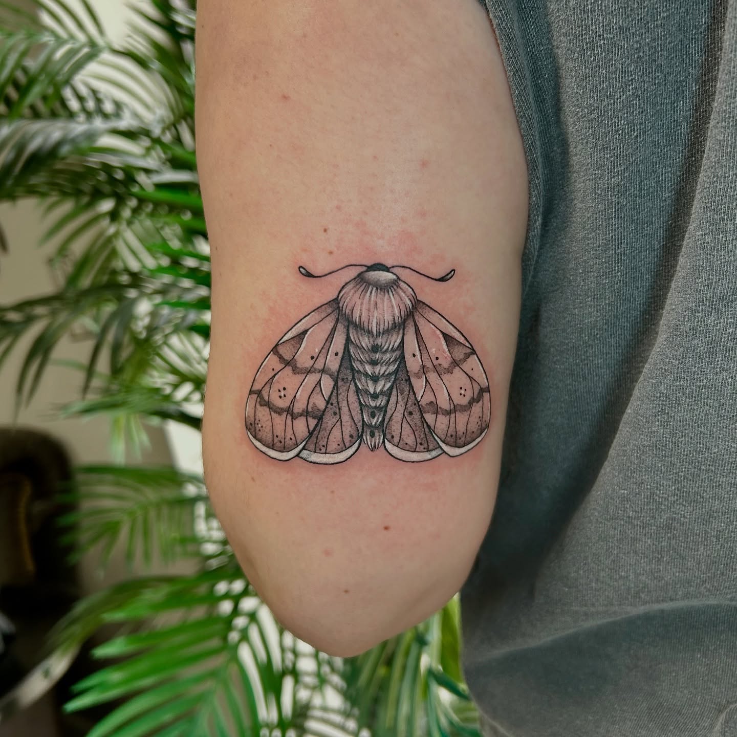 Moth dotwork tattoo on the forearm by Taylor Heidtbrink