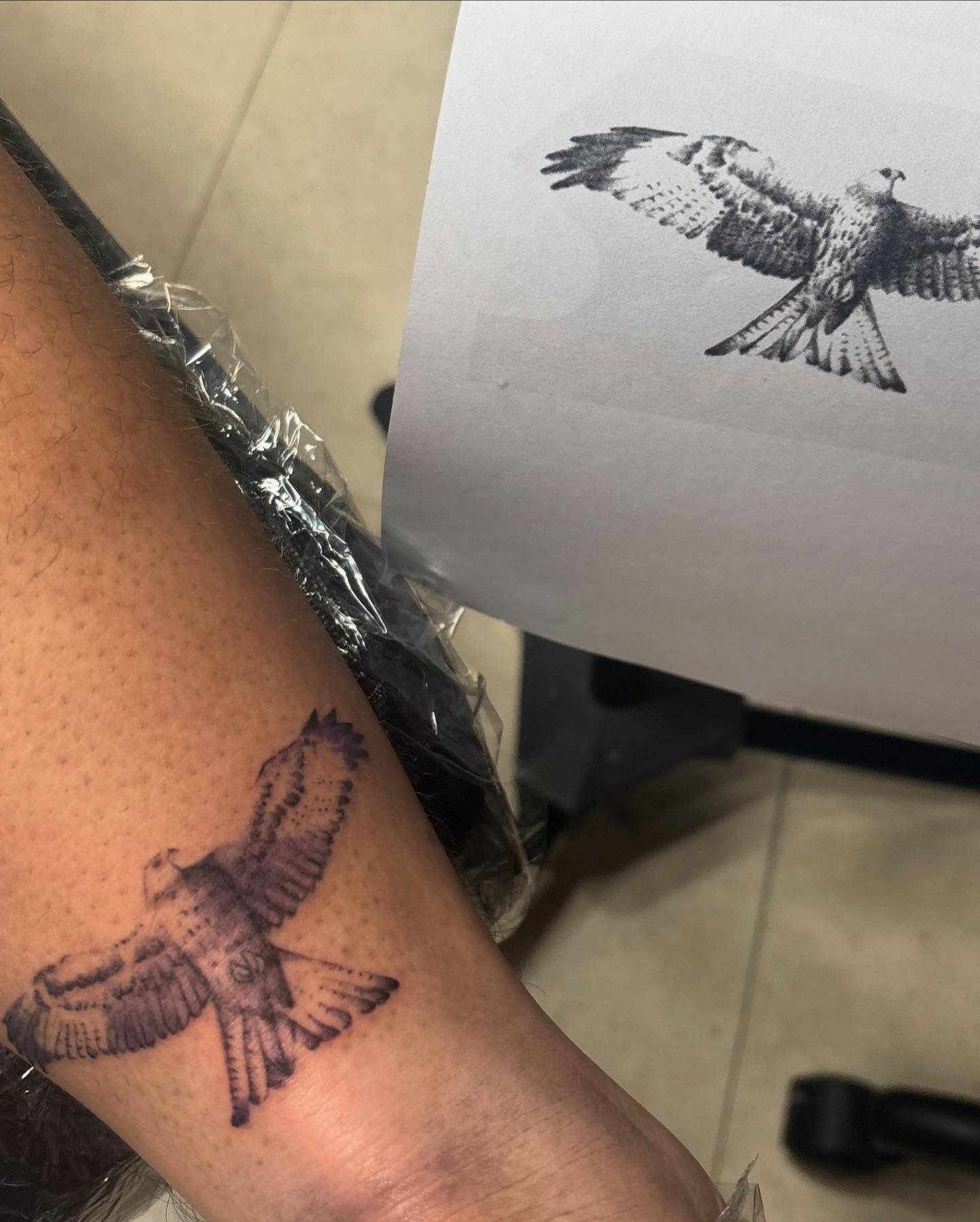 Hawk black and grey tattoo on the forearm by πΈππππ¦π£ππΈ