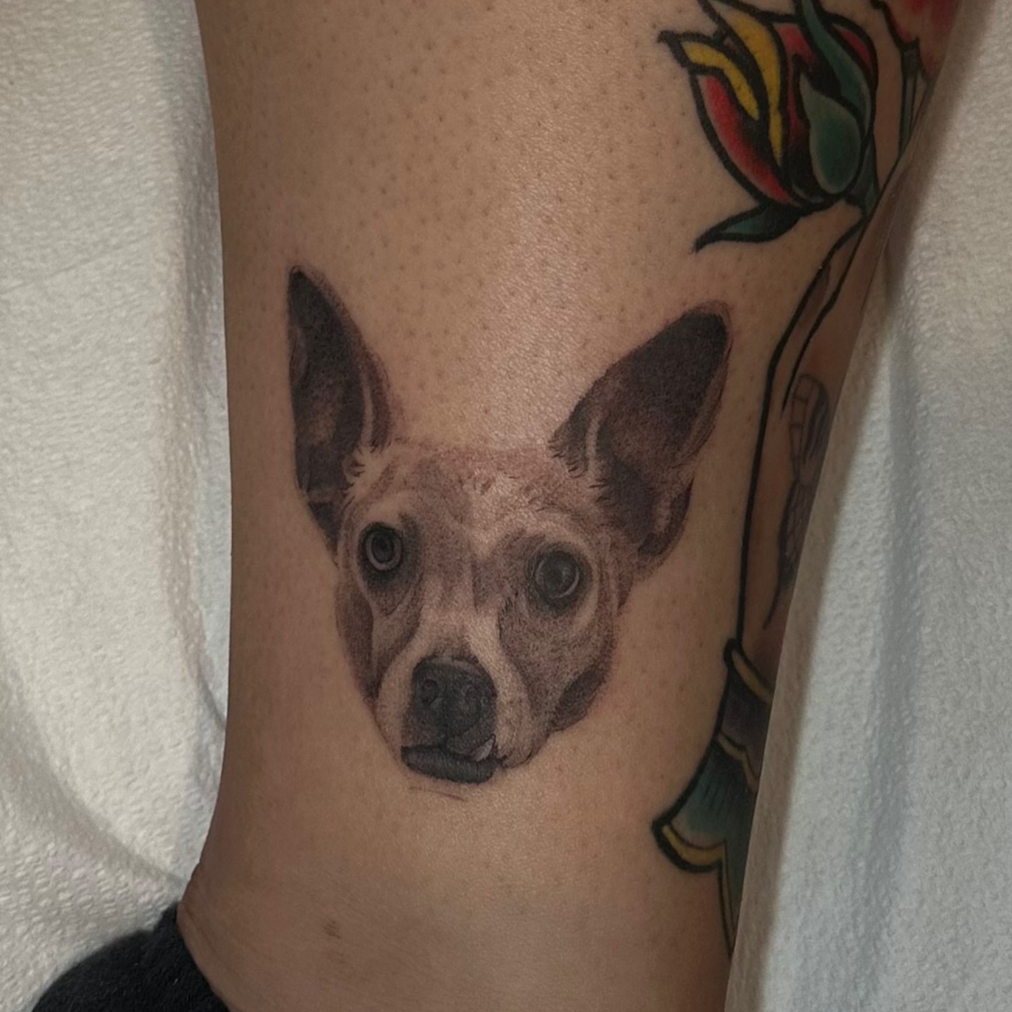 Tattoo by @joe.cruz_tattoos — realism