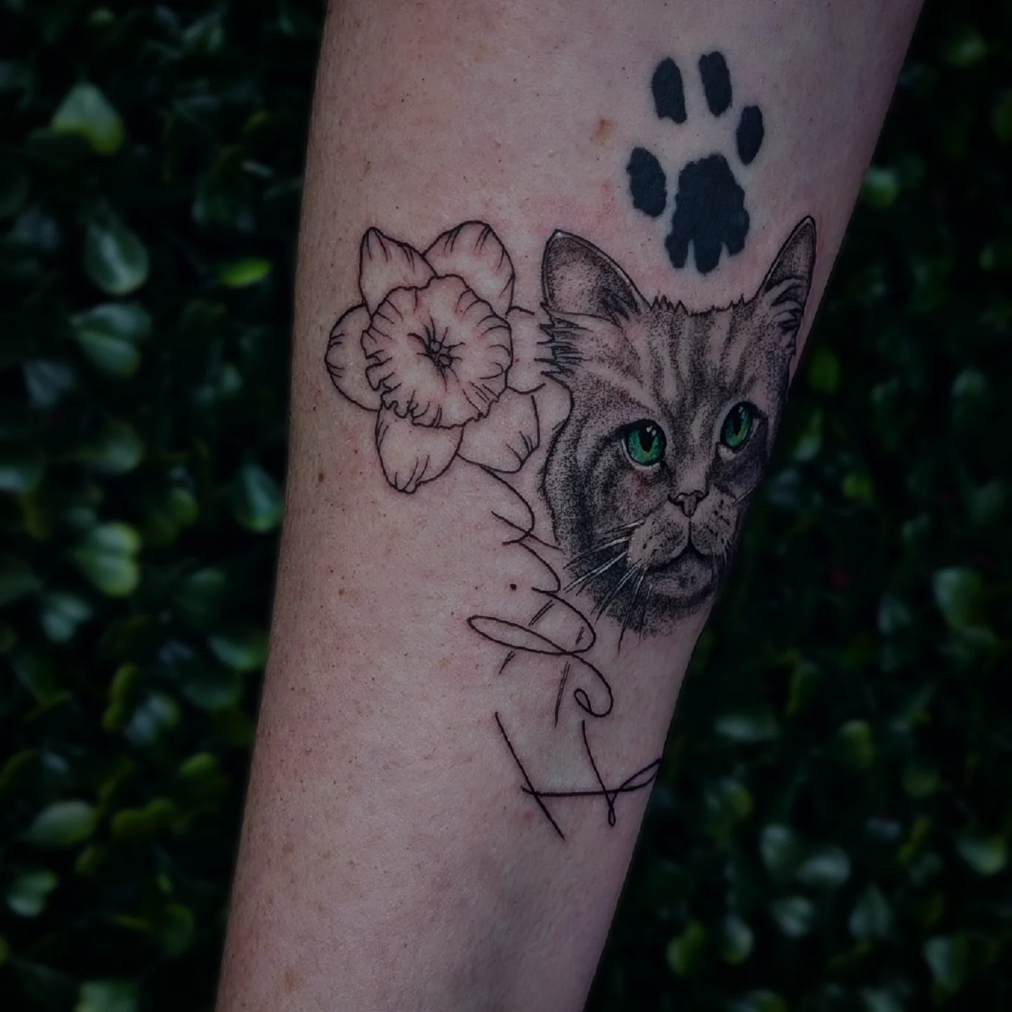 Cat and flowers realism tattoo on the forearm by Marlayna Connelly