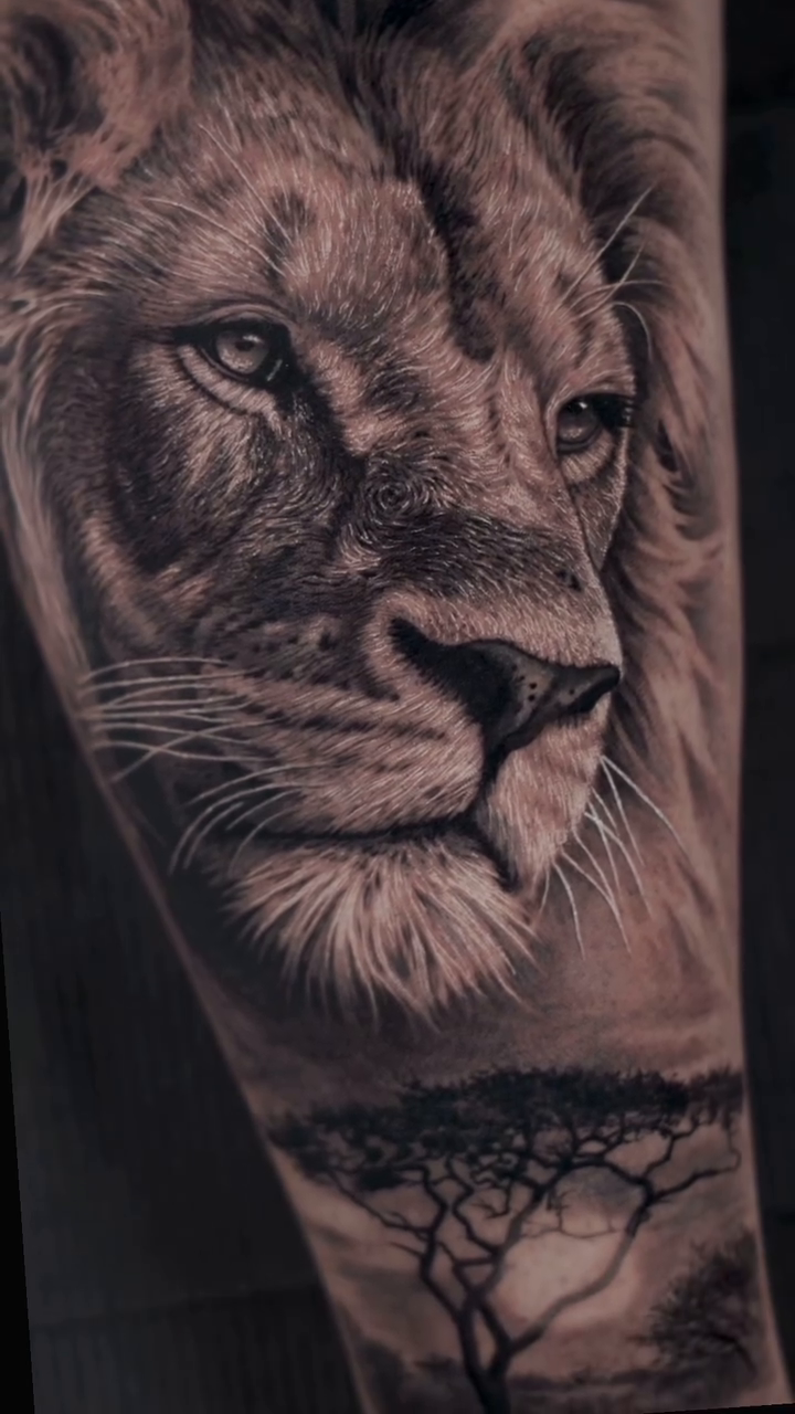 Lion portrait with acacia tree realism tattoo by Jesus Alonso
