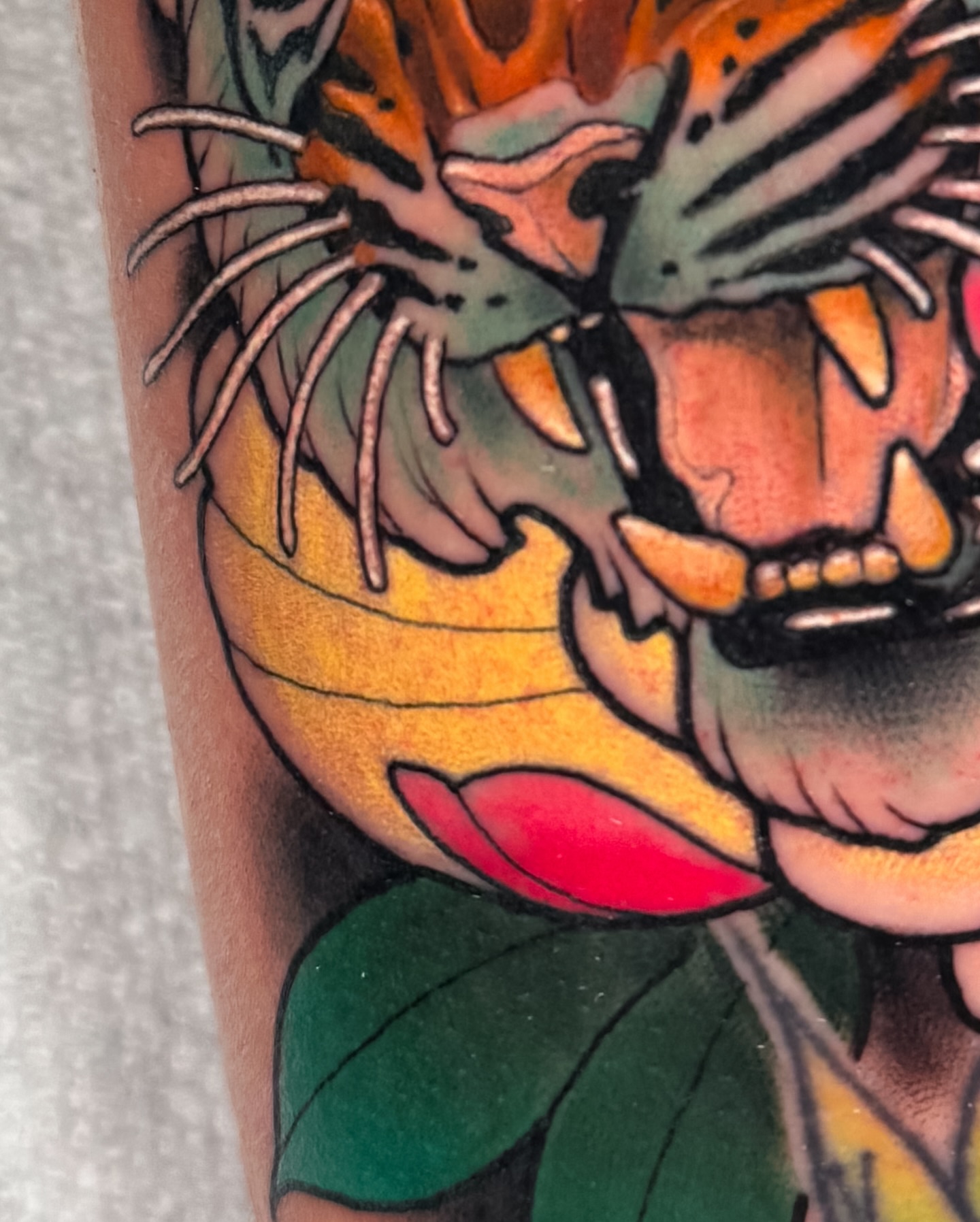 Tiger American traditional tattoo on the forearm by Austin Britt