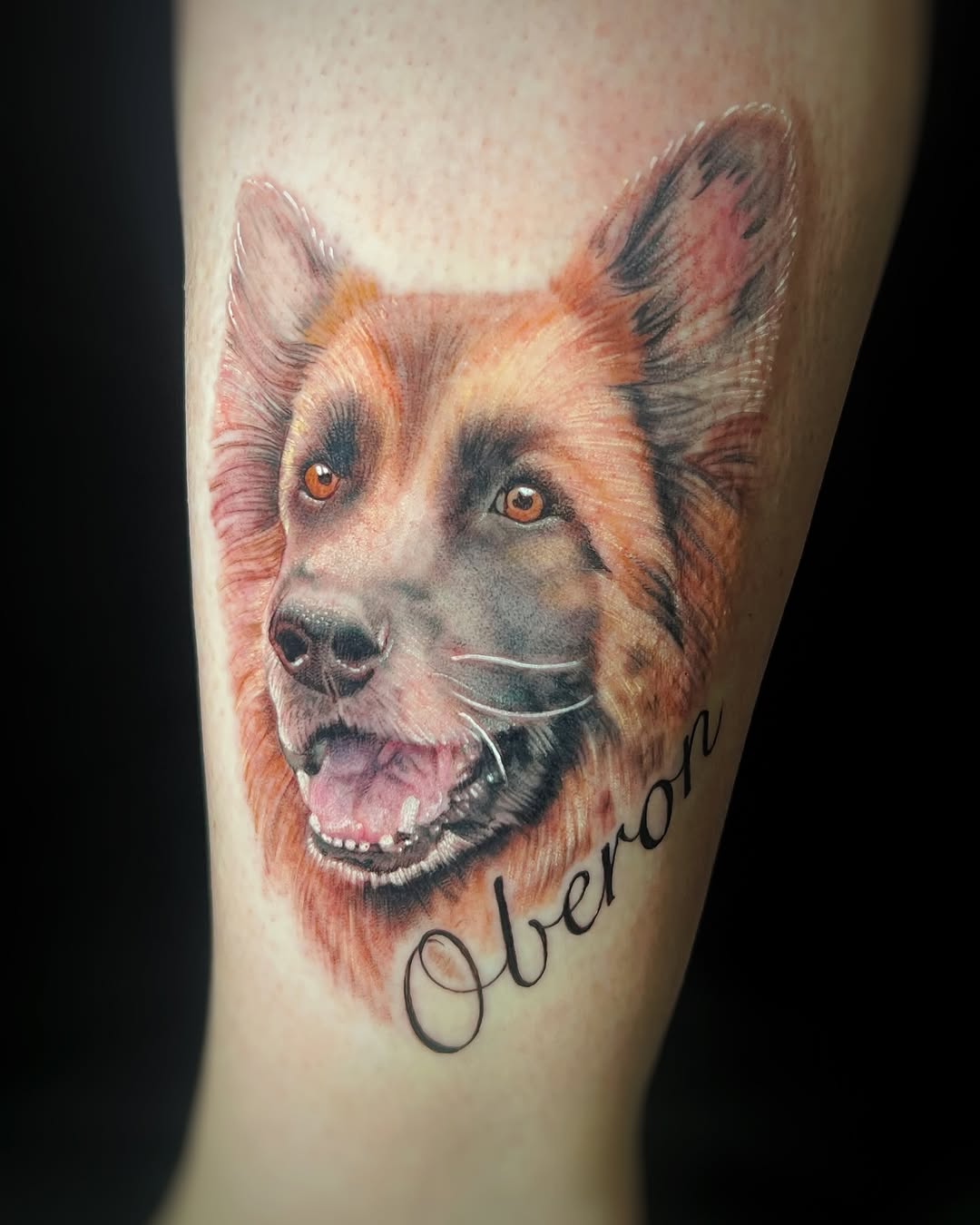 German Shepherd dog portrait with name realism tattoo on the forearm by Tattoos by Hanna, Farmington Hills, Michigan