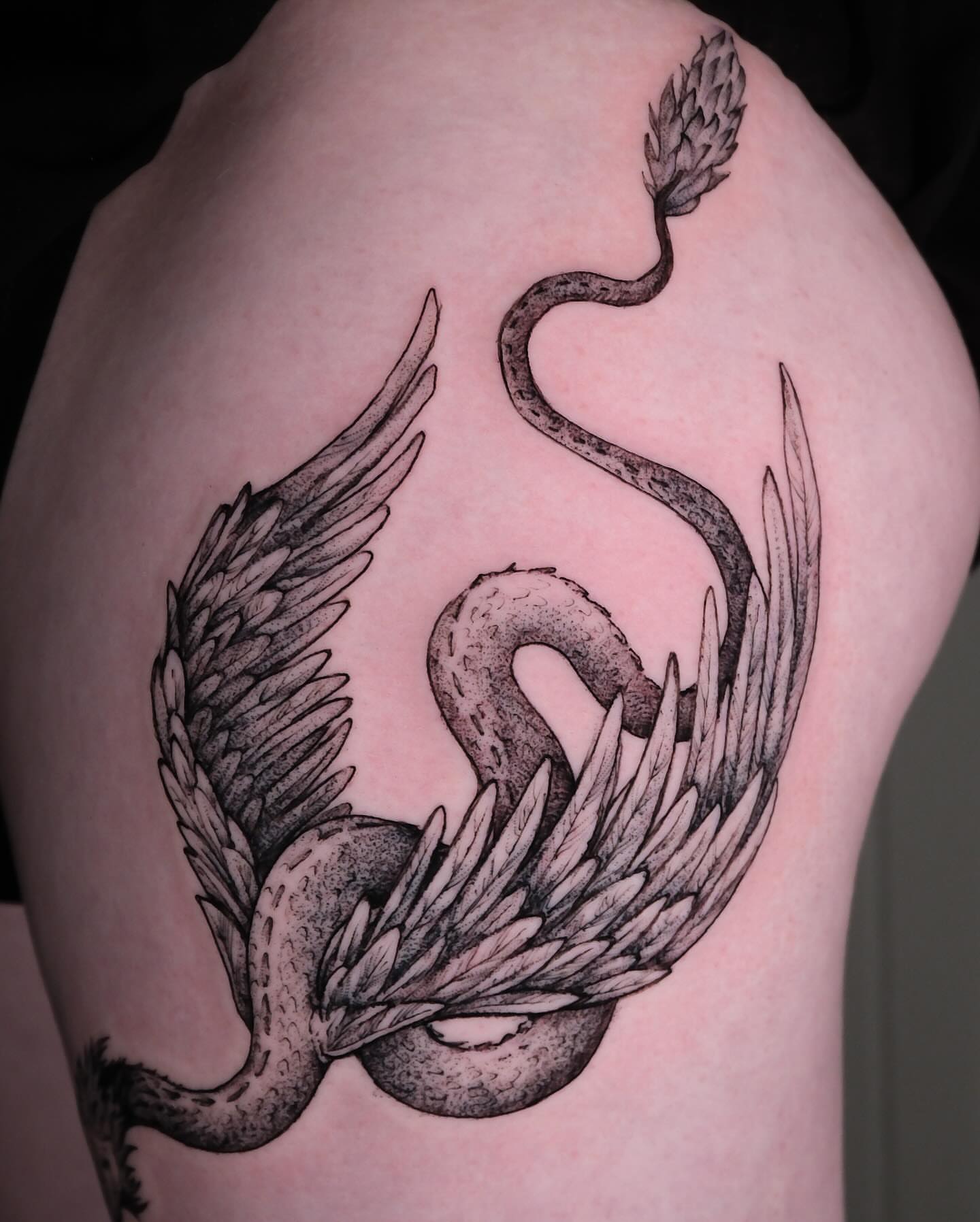 Serpent and wings dotwork tattoo on the shoulder by Renee (Koi) Vance