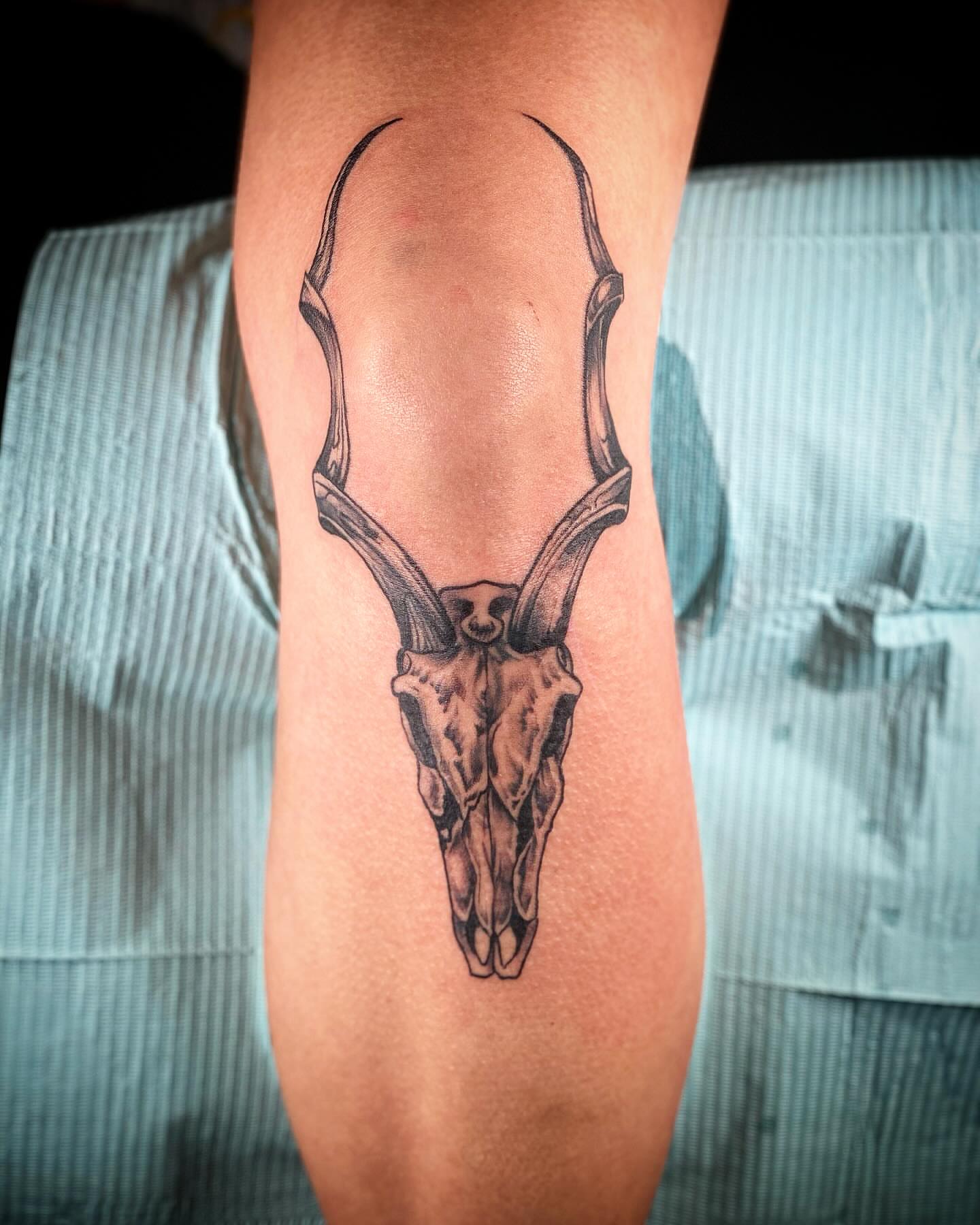 Deer skull black and grey tattoo on the forearm by Chris Klee