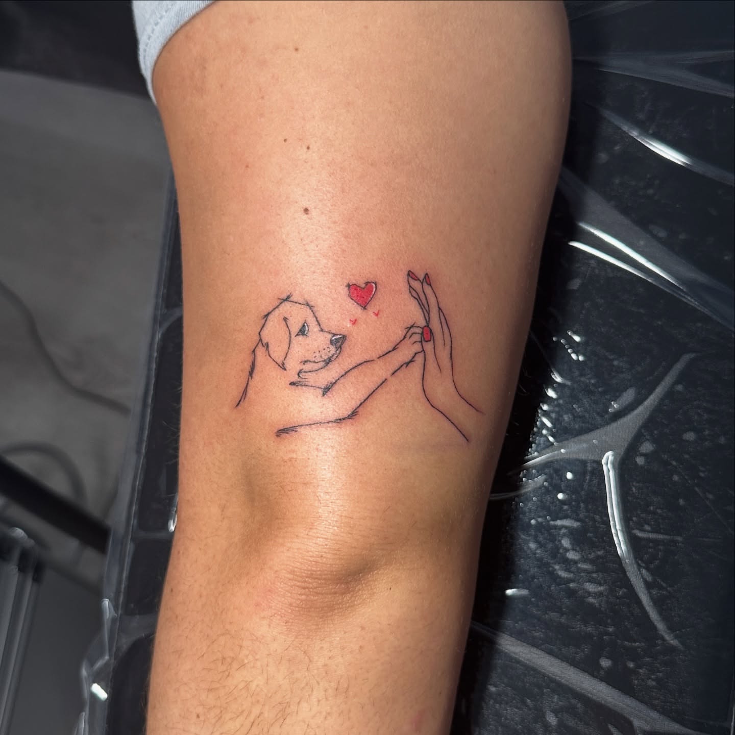 Dog and hand fine line tattoo on the forearm by Dennis Alejandro