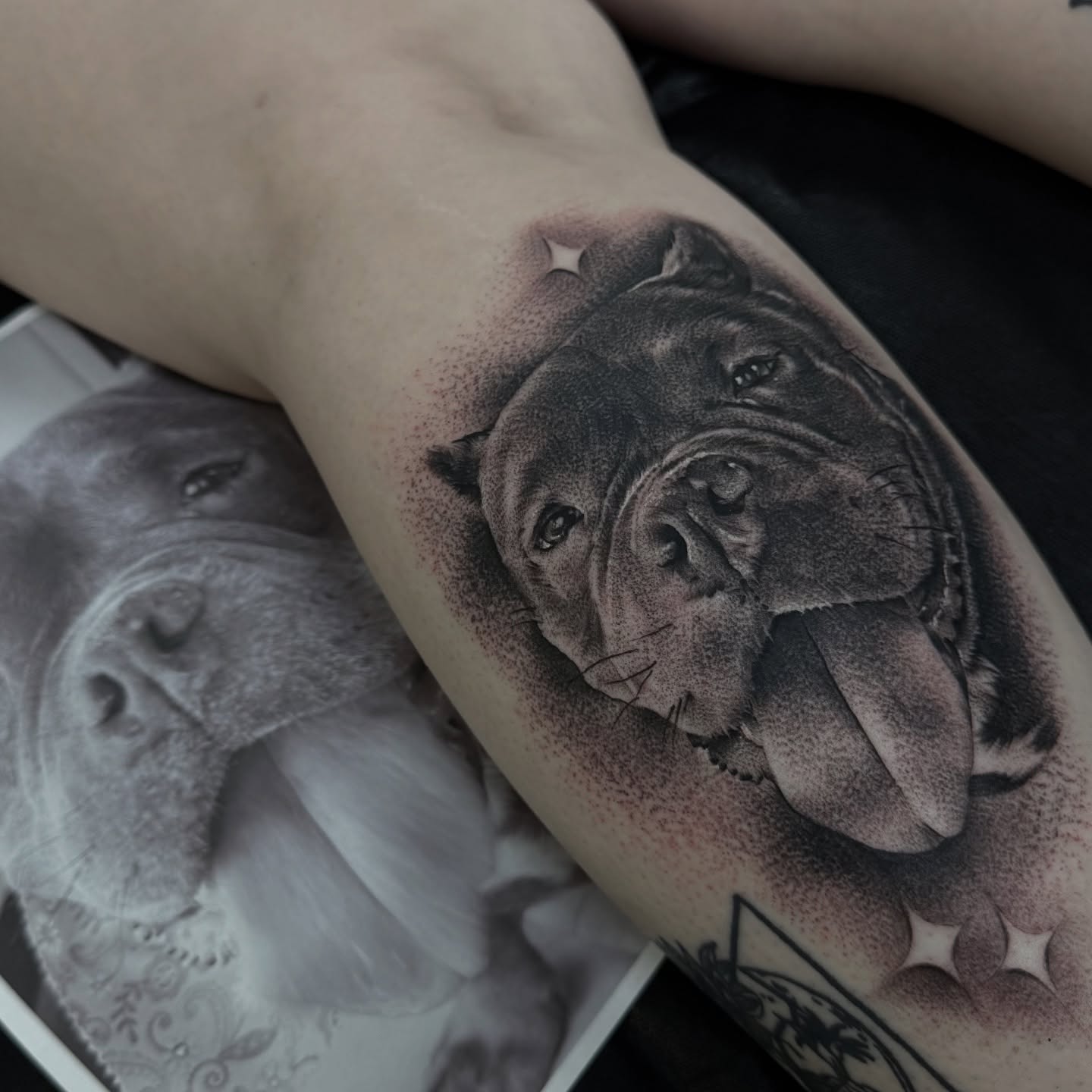 Bulldog dotwork tattoo on the forearm by Letterrealmstudio