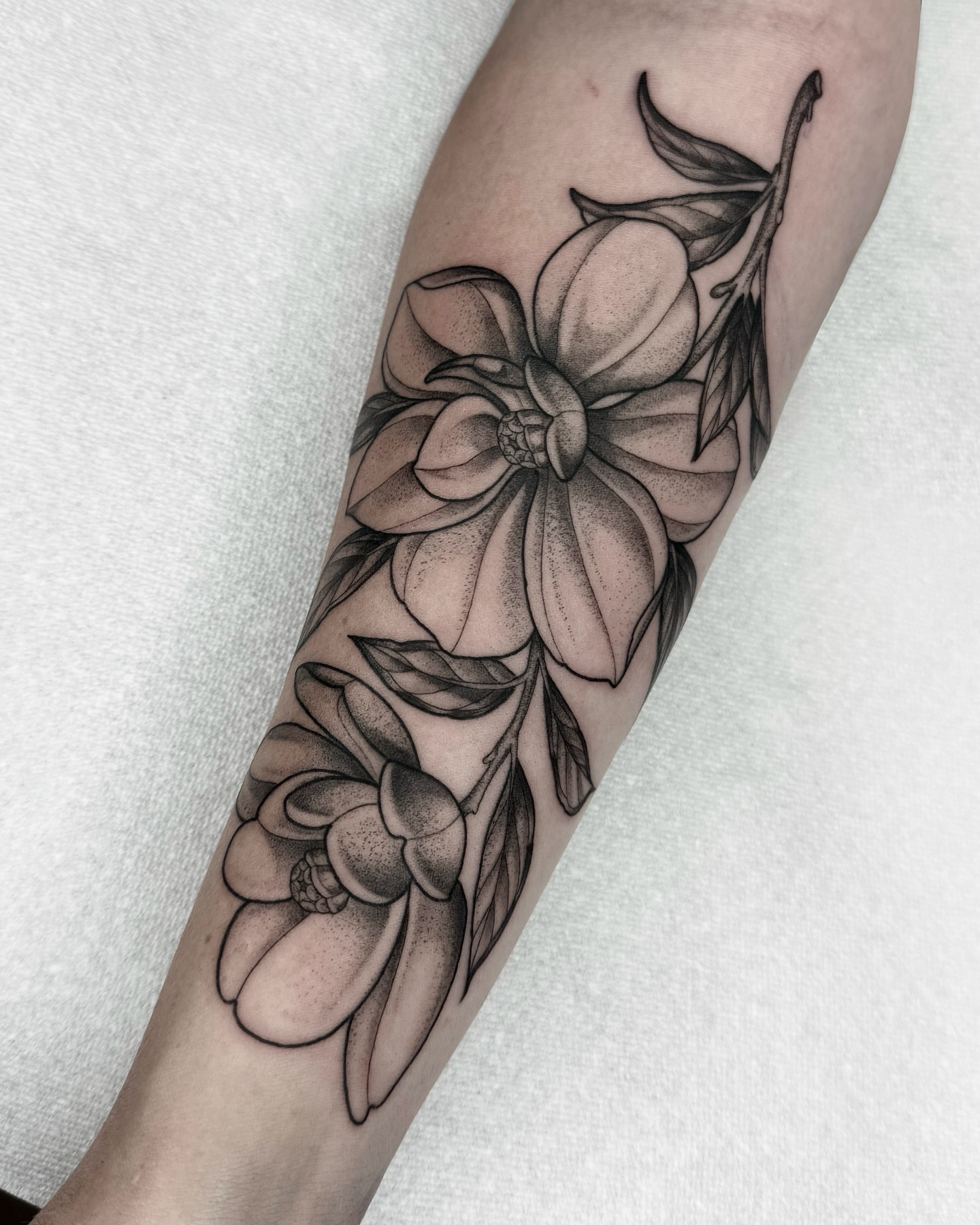 Tattoo by @horsegirltats — dotwork, realism