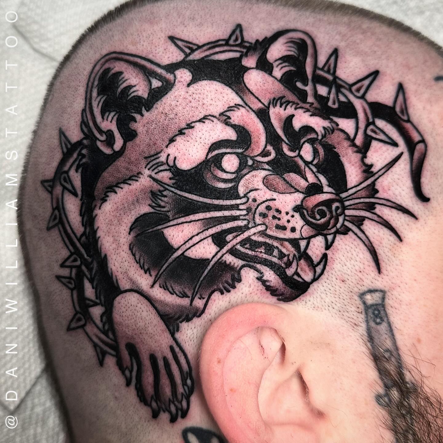 Bulldog American traditional tattoo on the shoulder by Dani Johnson