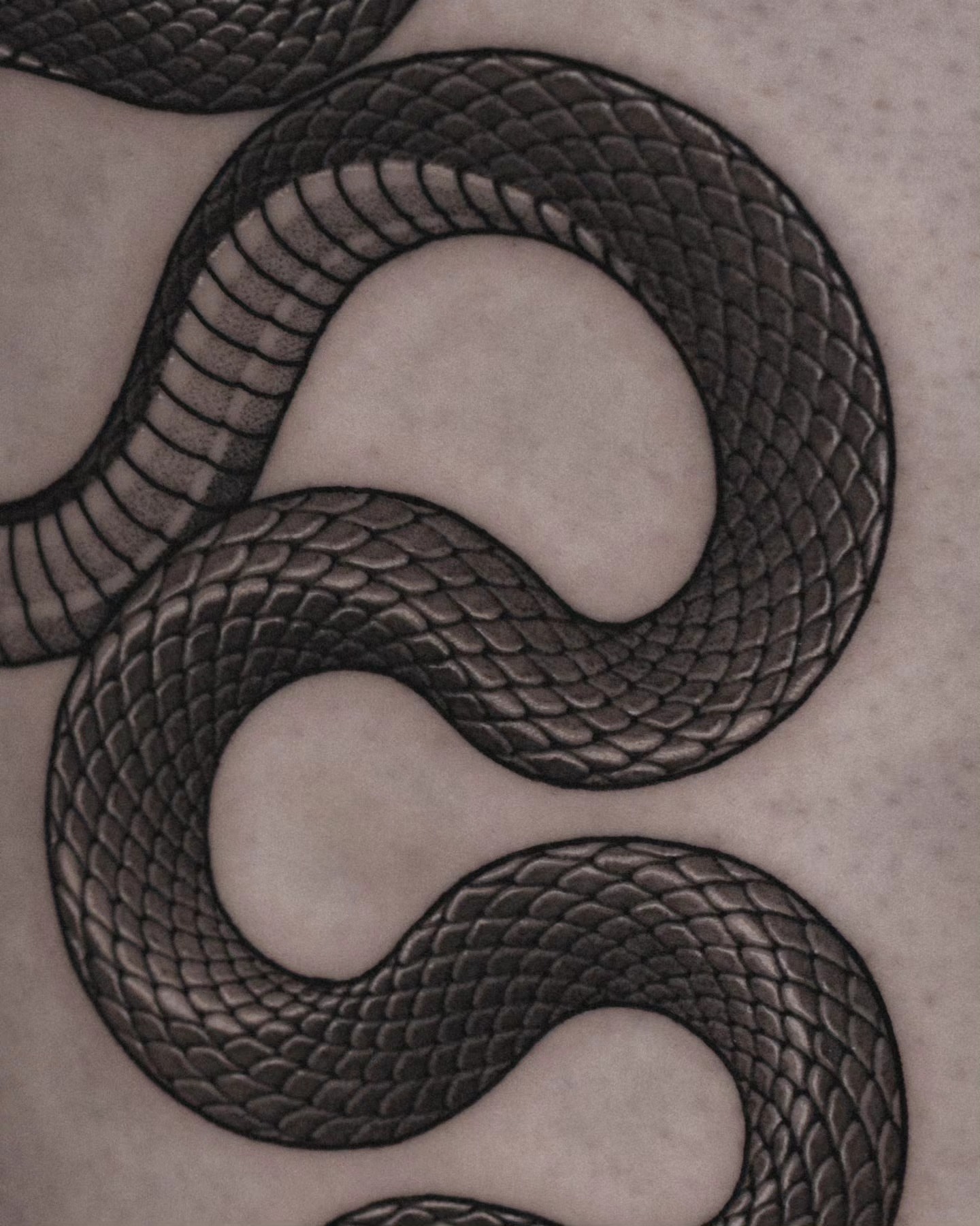 Snake black and grey tattoo by 쿠노 Koono snaketattoo