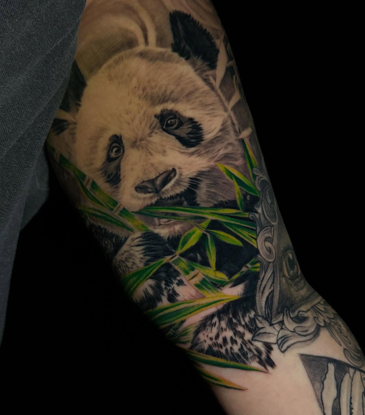 Panda bear realism tattoo on the forearm by "CAM", West Palm Beach, Florida