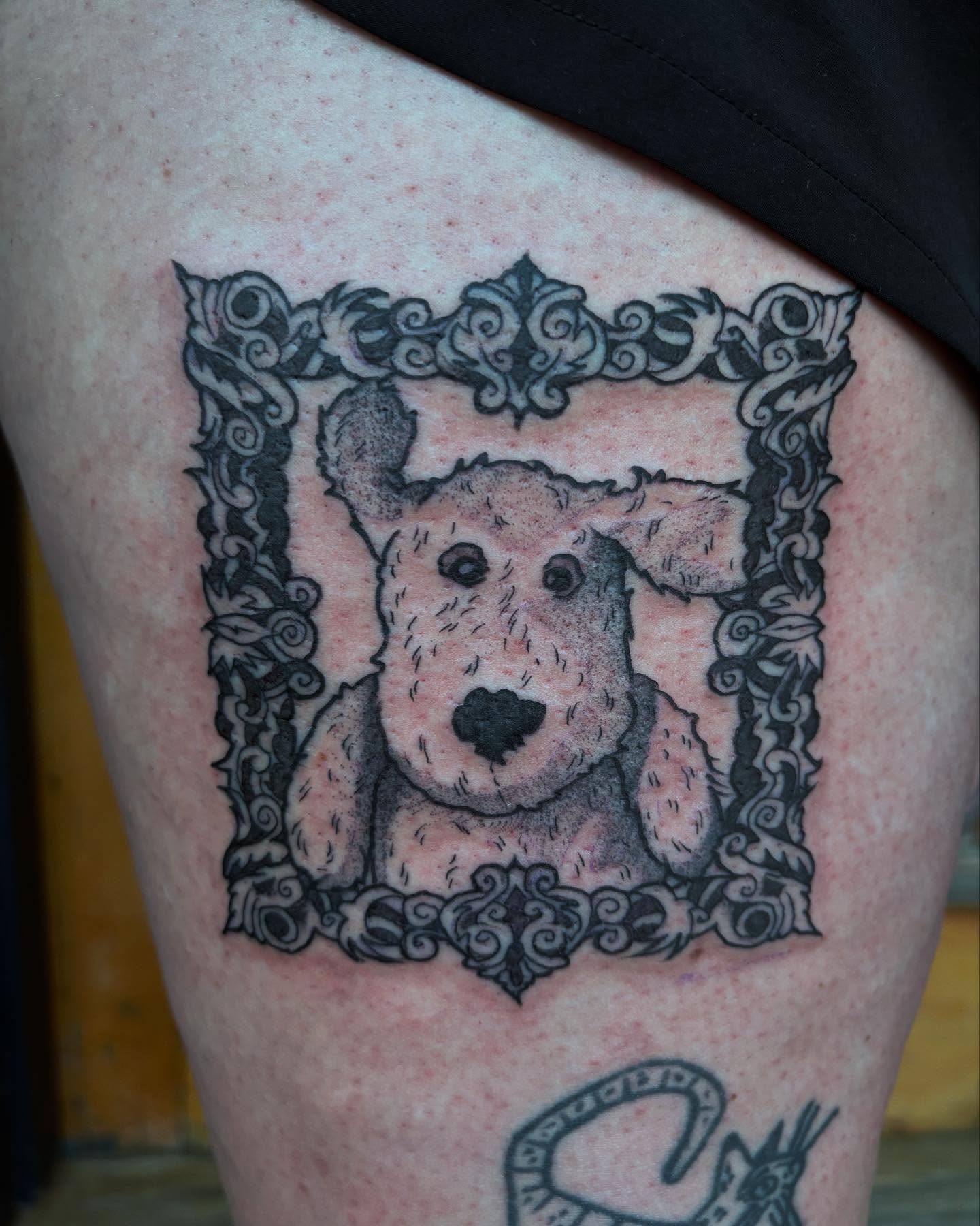 Dog portrait realism tattoo on the thigh by kris noble floyd