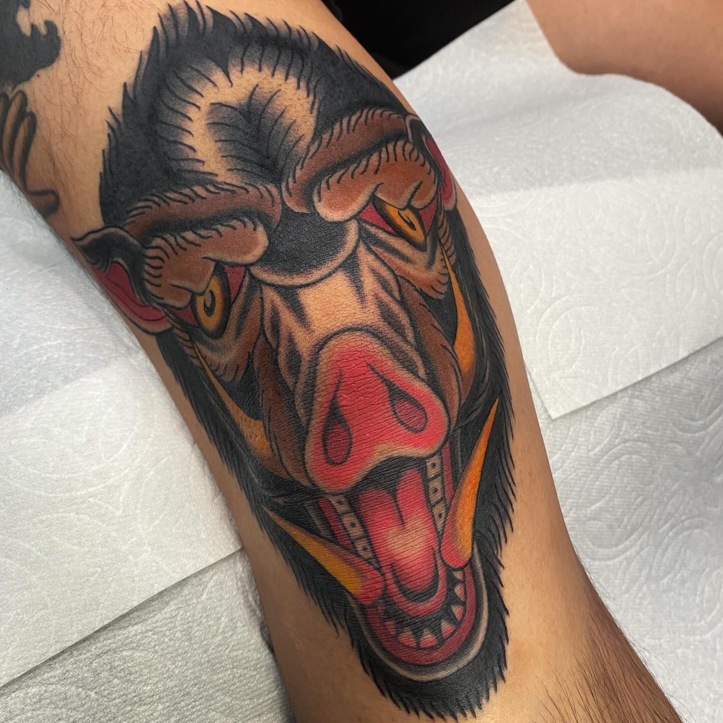 Bull American traditional tattoo on the forearm by Lindsey Cam Van