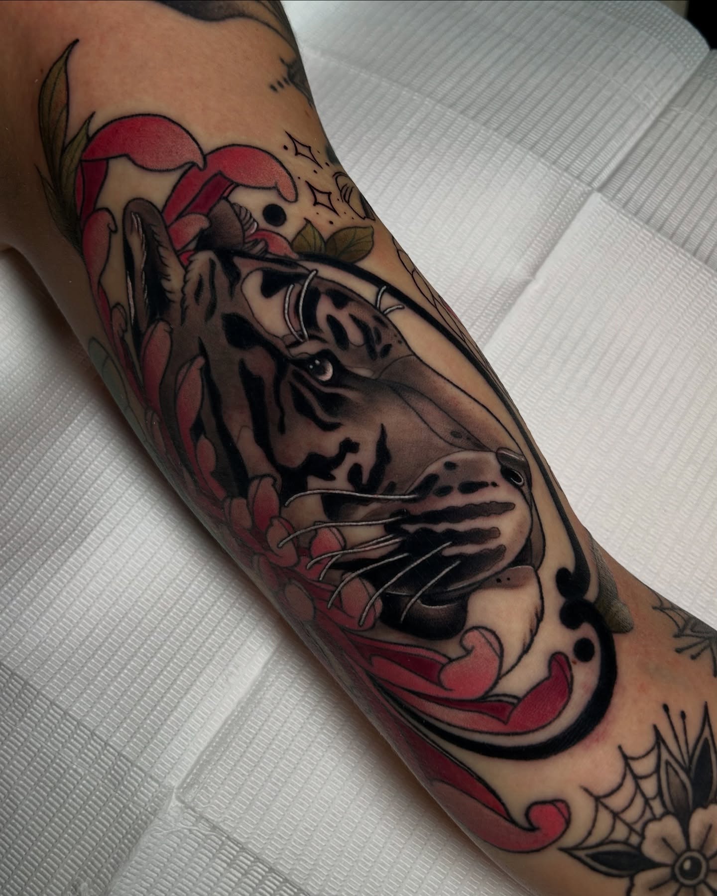 Tiger American traditional tattoo on the forearm by Tattoos By Lola Cavotta, Willoughby, Ohio
