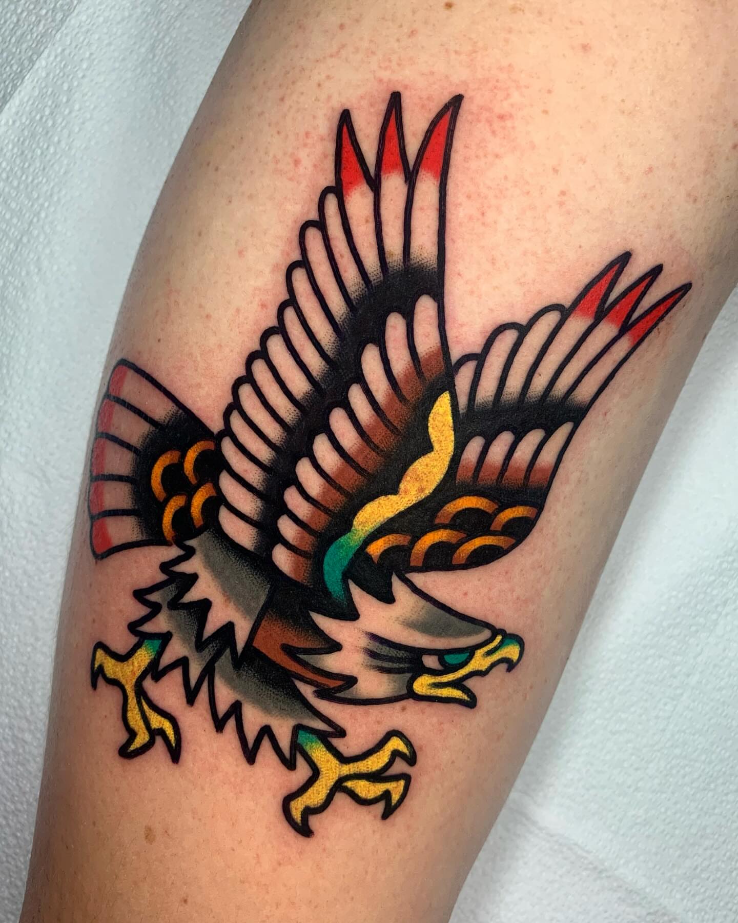 Eagle American traditional tattoo on the forearm by Shawn VanKirk