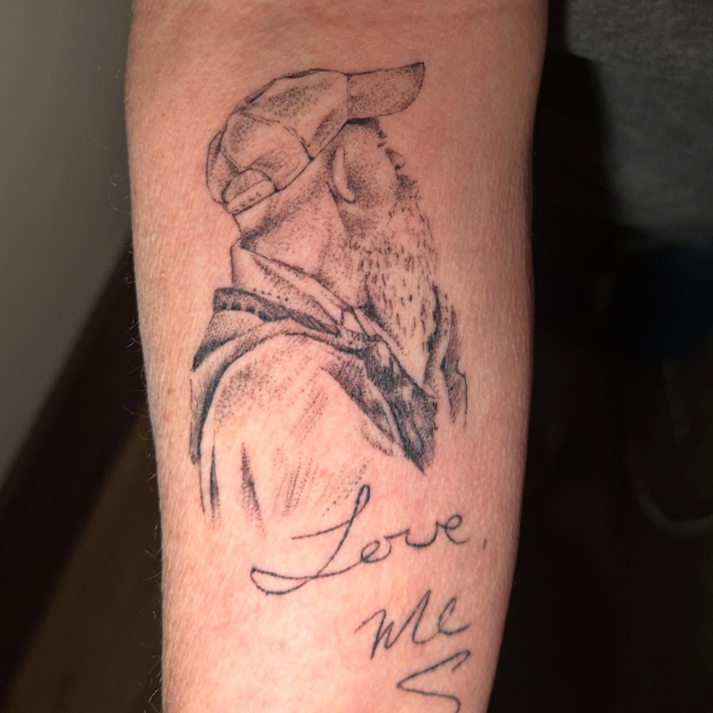 Tattoo by @chrisdoyletattoos — dotwork