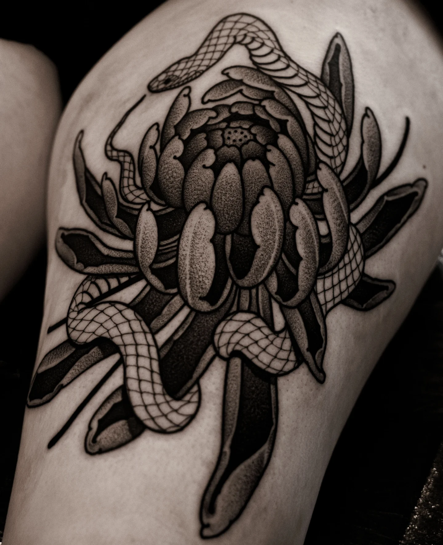 Protea flower with snakes dotwork tattoo on the thigh by Craig St Peter, Kansas City, Missouri