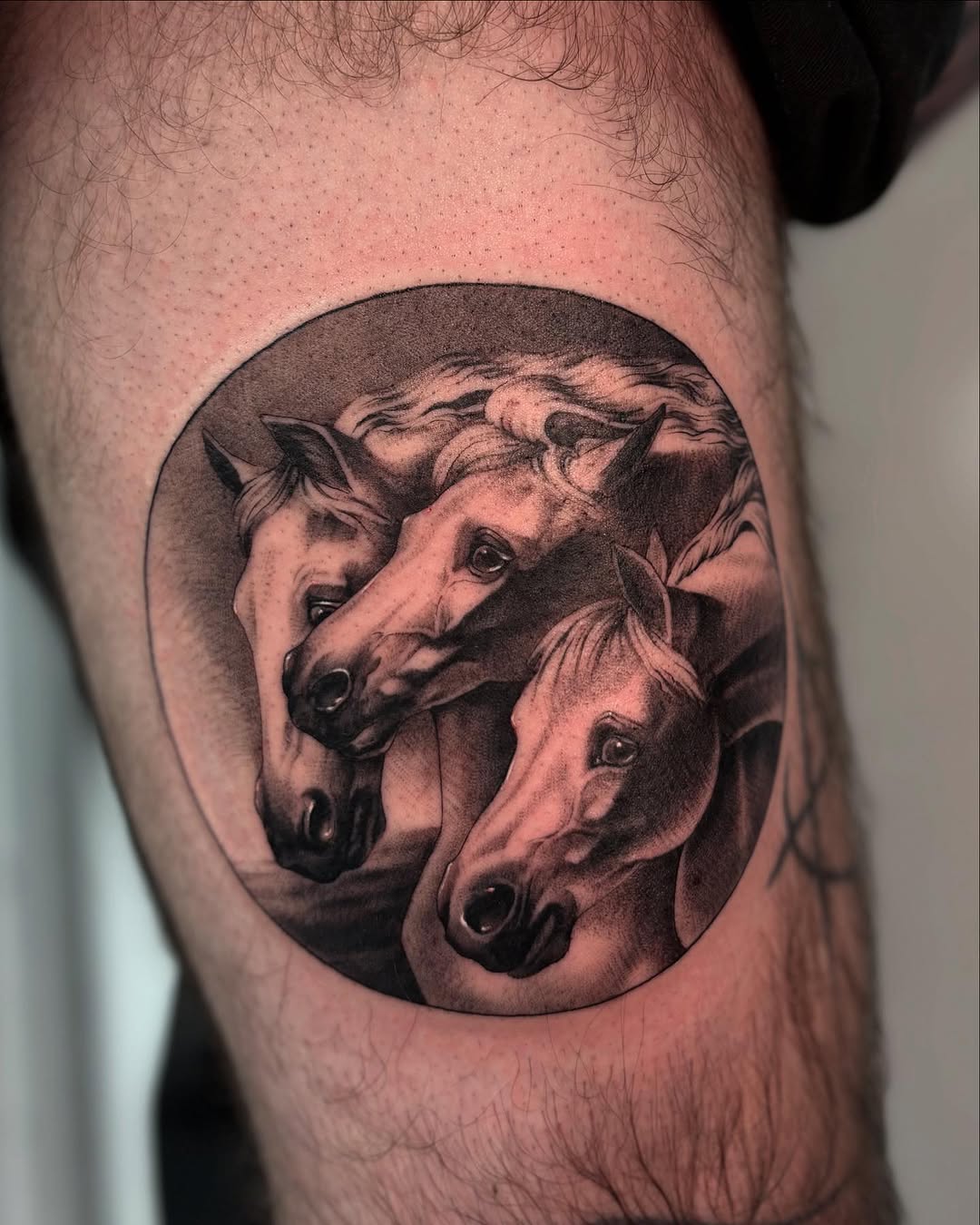 Three horses heads realism tattoo on the thigh by Tattoos by Tessa