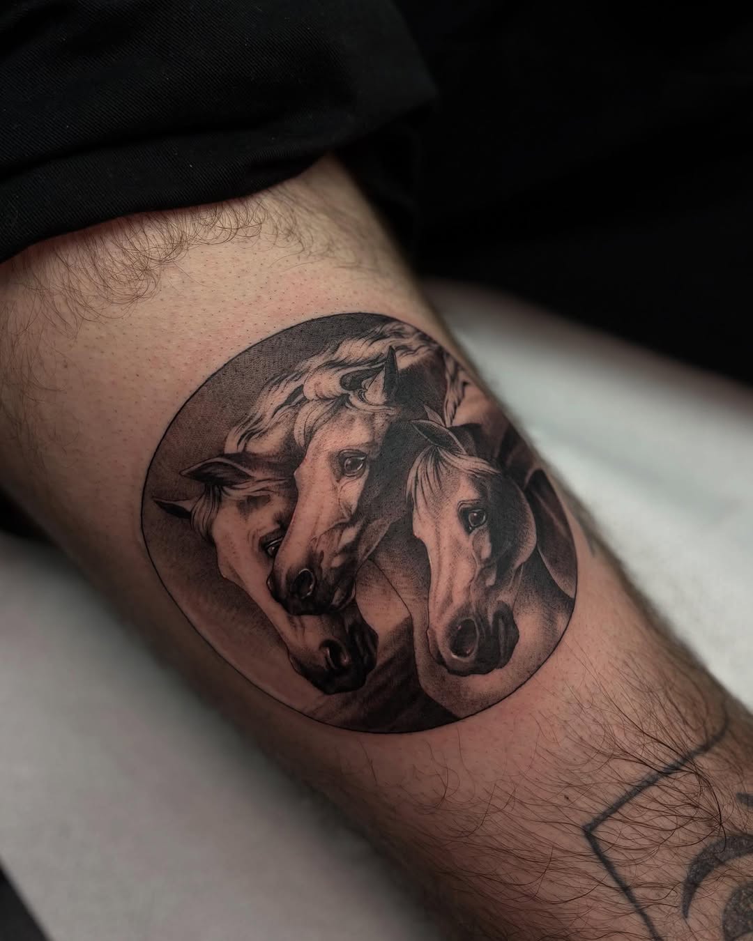 Three horses heads realism tattoo on the forearm by Tattoos by Tessa