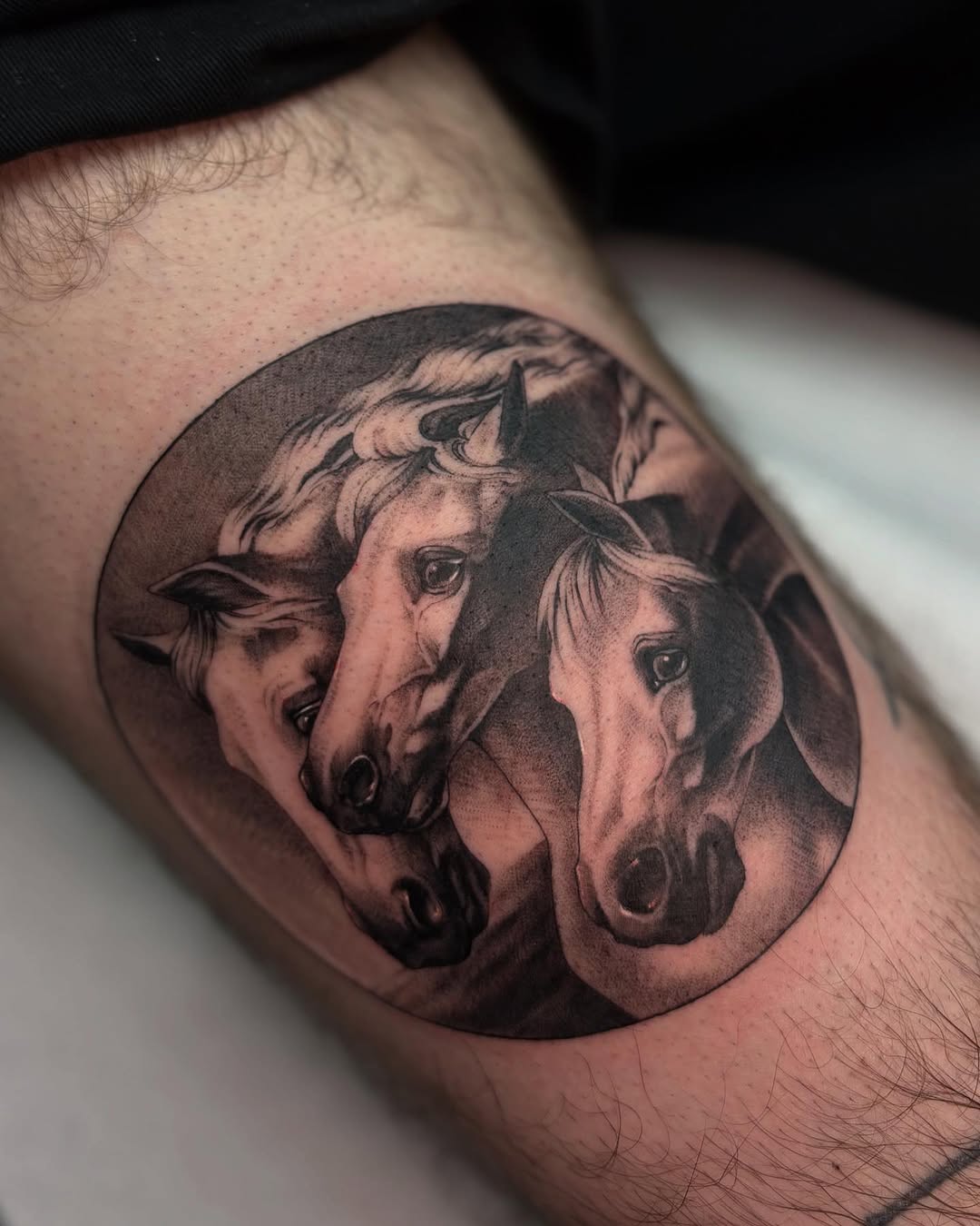 Three horses heads realism tattoo on the thigh by Tattoos by Tessa